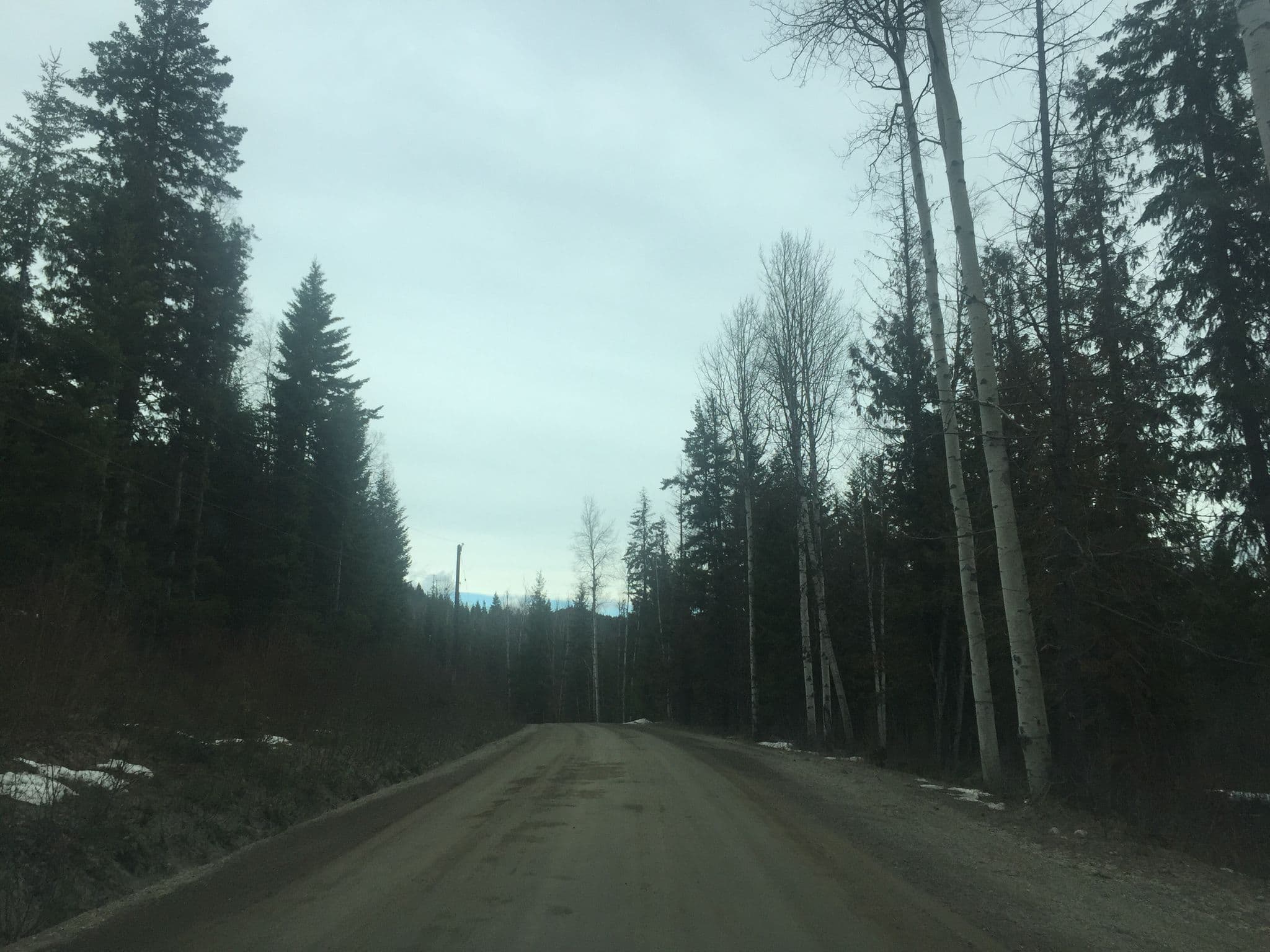Street view near Alpine Meadows Resort Clearwater, Clearwater — © nisselson (CC BY-SA · Mapillary)