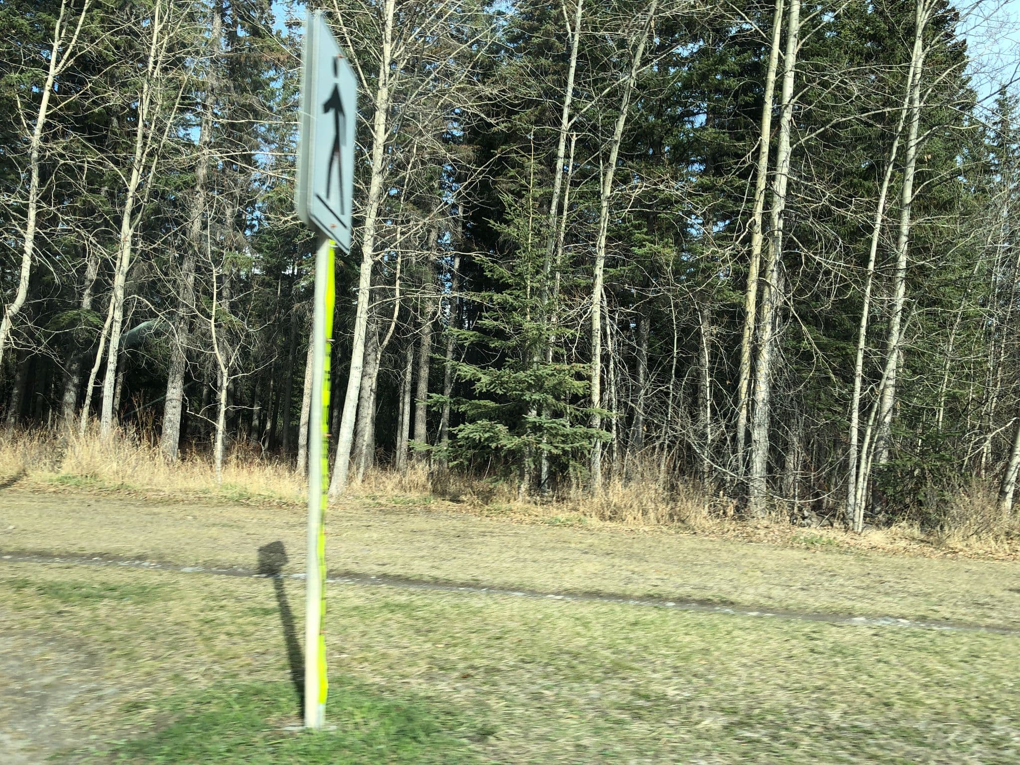 Street view near Room 203, Canmore — © plan_c (CC BY-SA · Mapillary)