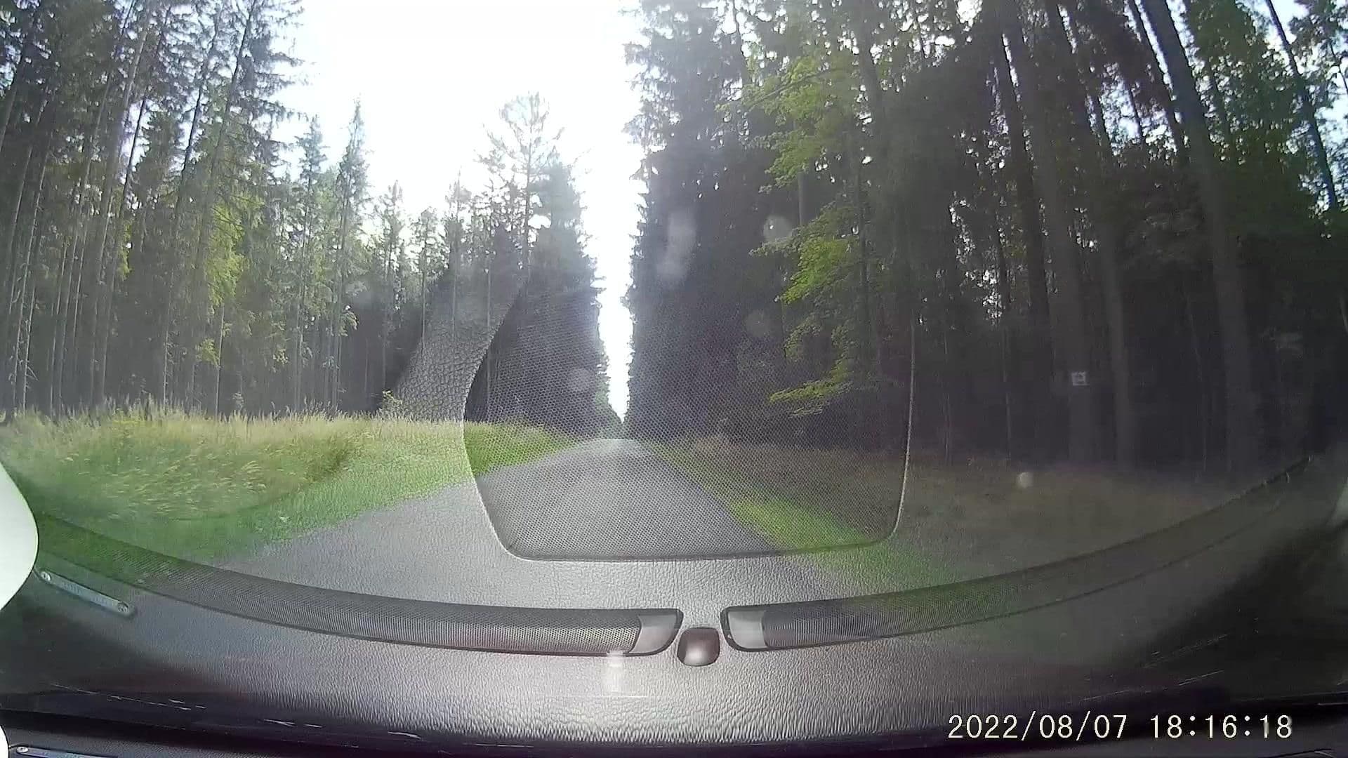 Street view near Leo Karli. Sp. Z O.o. Sanatorium, Świeradów-Zdrój — © dasza (CC BY-SA · Mapillary)