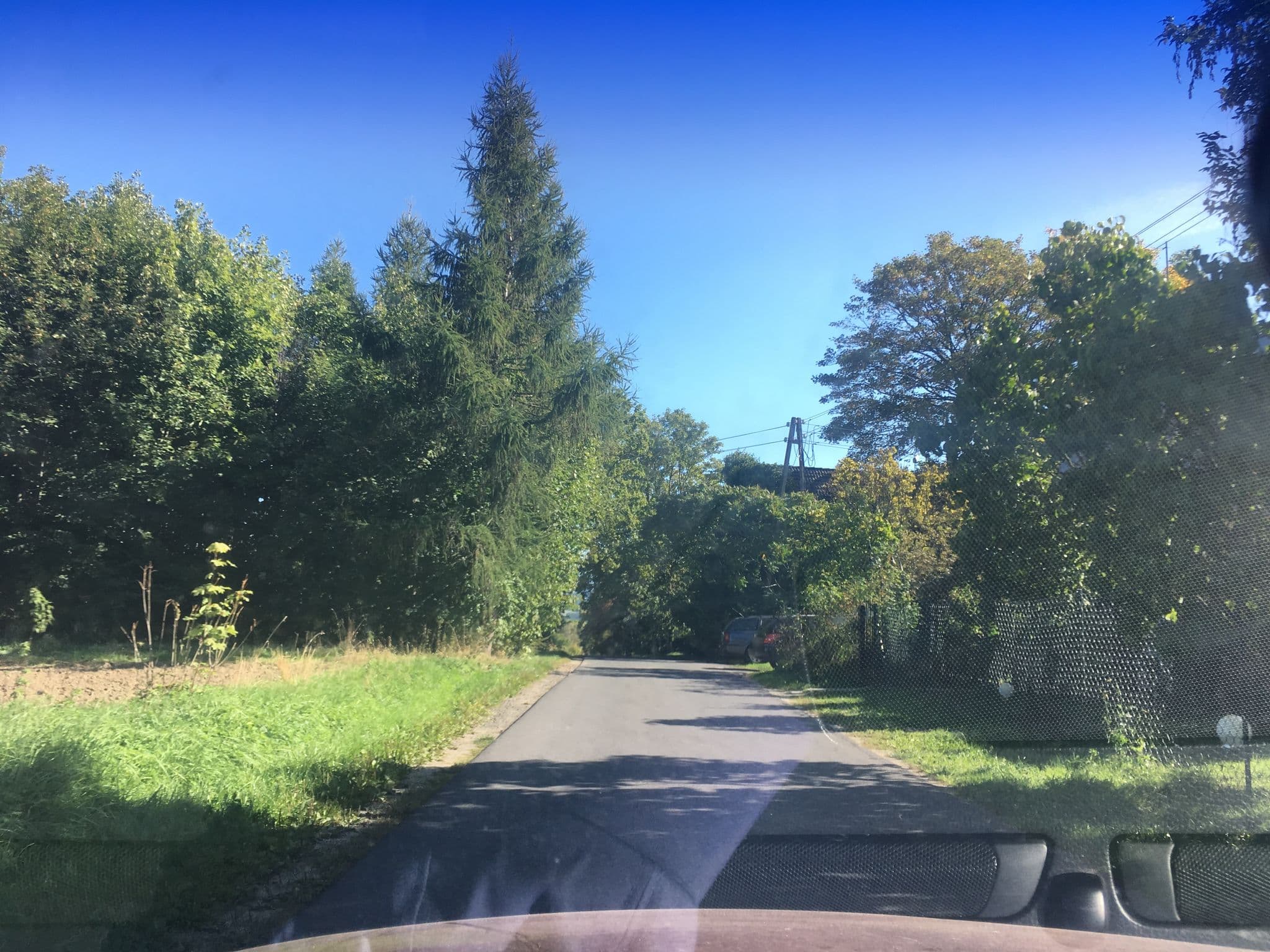 Street view near Alchemik Monika Fijałkowska-Mokosa, Świeradów-Zdrój — © dasza (CC BY-SA · Mapillary)