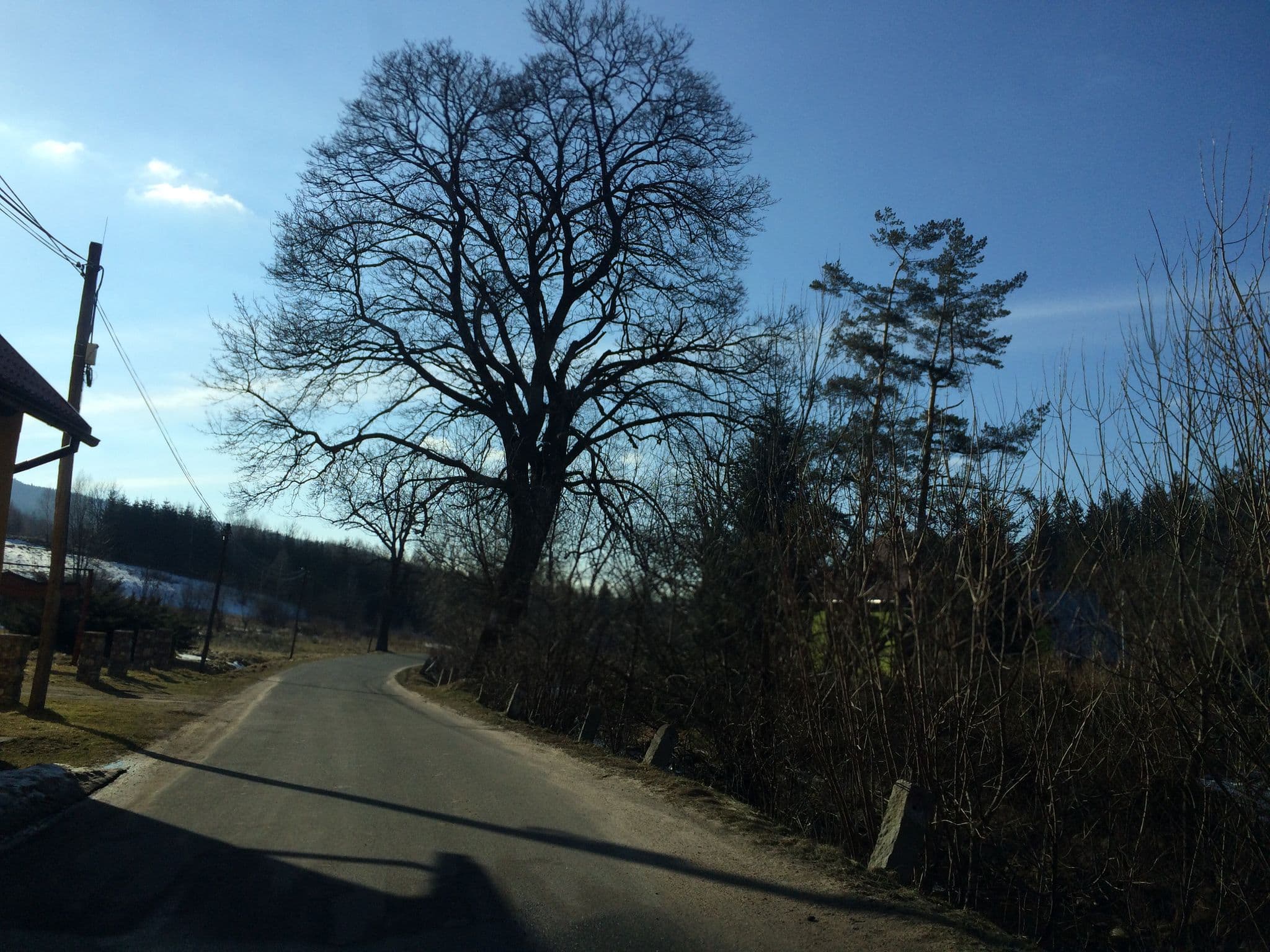Street view near Dom Gościnny Marzanna Jacek Kałuża, Stronie Śląskie — © zvid (CC BY-SA · Mapillary)