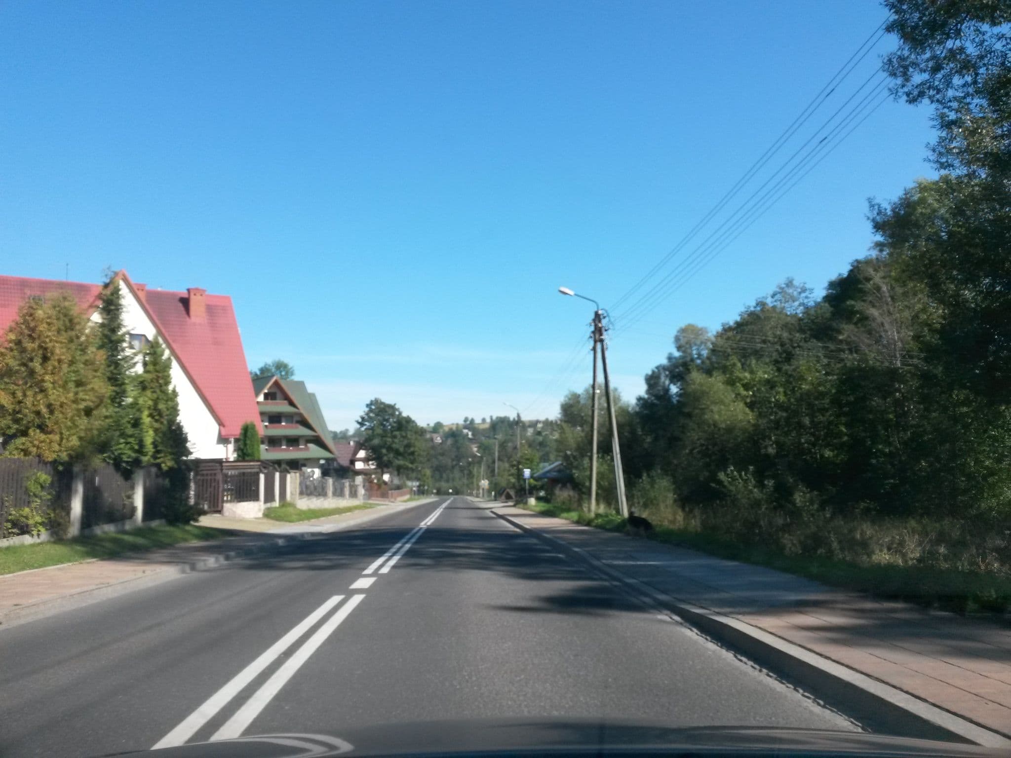 Street view near Apartament Bania, Zakopane — © bacza (CC BY-SA · Mapillary)