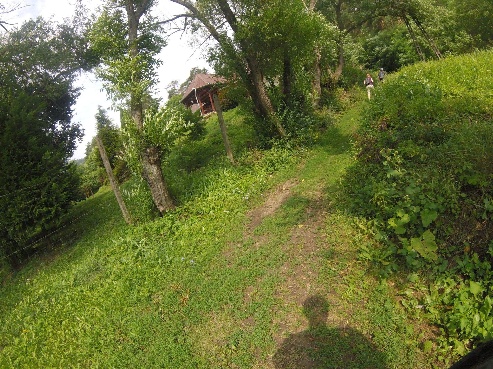 Street view near Fenyvesalja vendégház, Sátoraljaújhely — © utvonalfelmeresek (CC BY-SA · Mapillary)