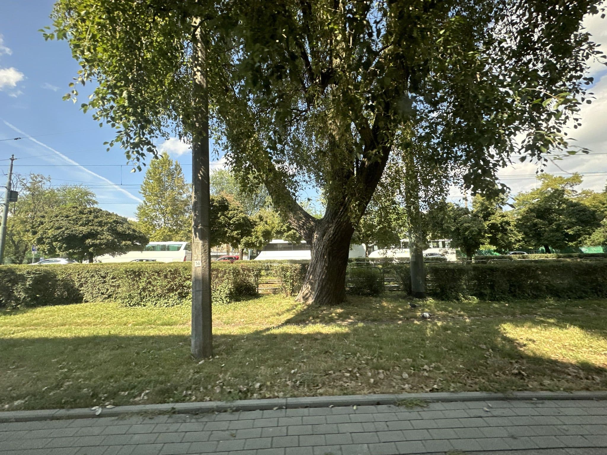 Street view near "Negre Krakow Apartments" Sp. z o.o. w Organizacji, Kraków — © quickness805 (CC BY-SA · Mapillary)