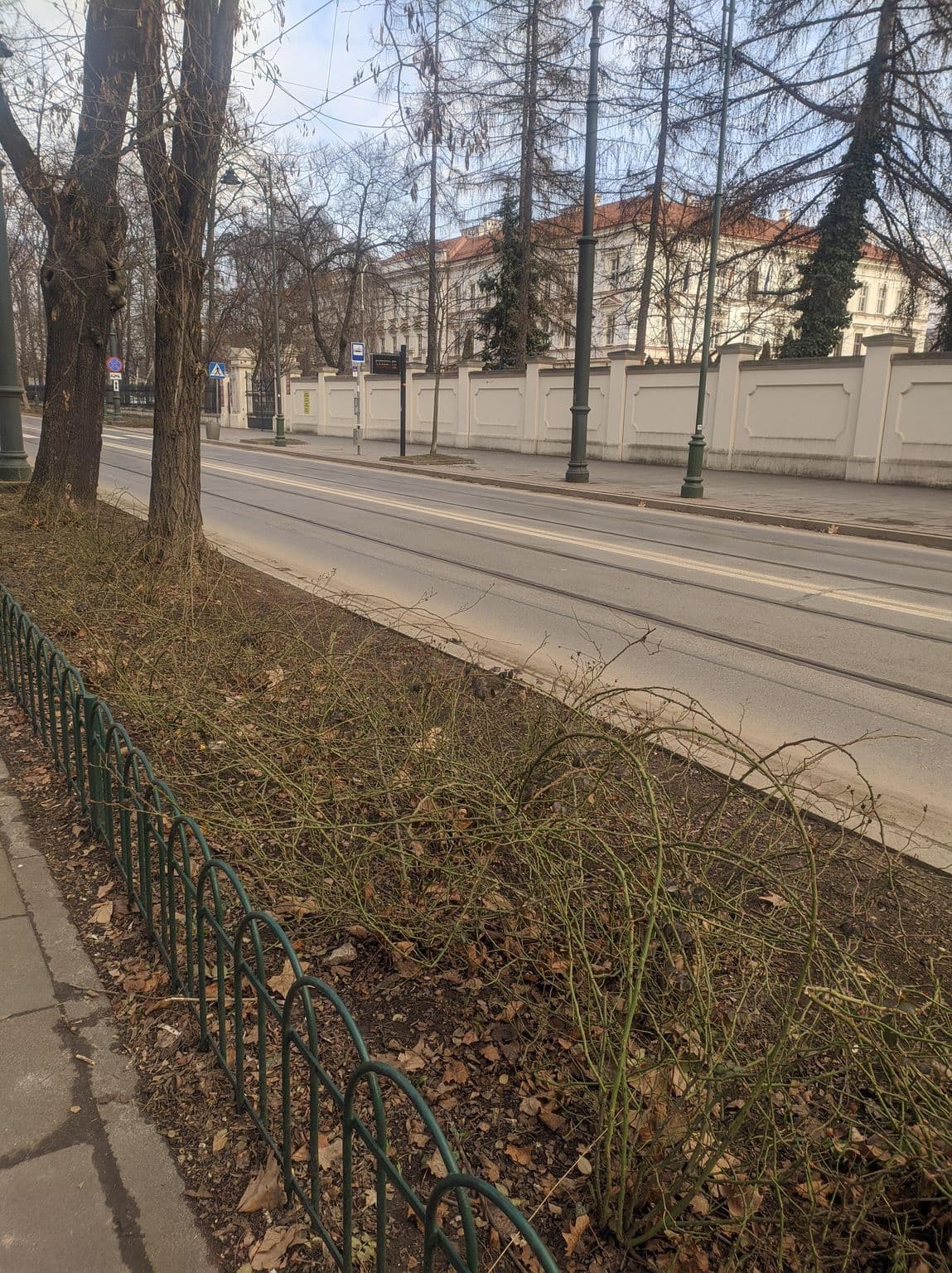 Street view near NOVA Apartments - Rakowicka, Grzegórzki — © fantoment (CC BY-SA · Mapillary)