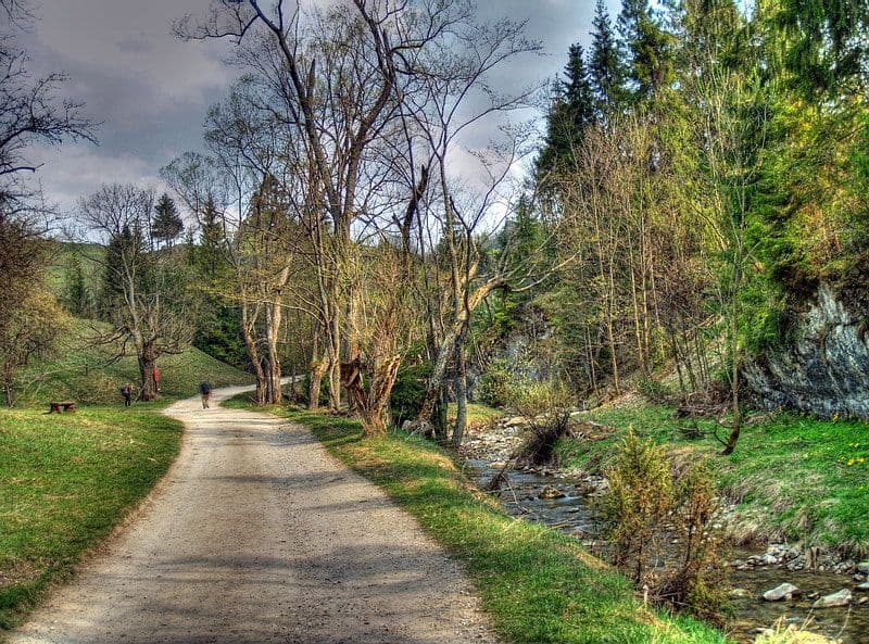 Street view near Bacówka Biała Woda, Szczawnica — © ahojmedia (CC BY-SA · Mapillary)