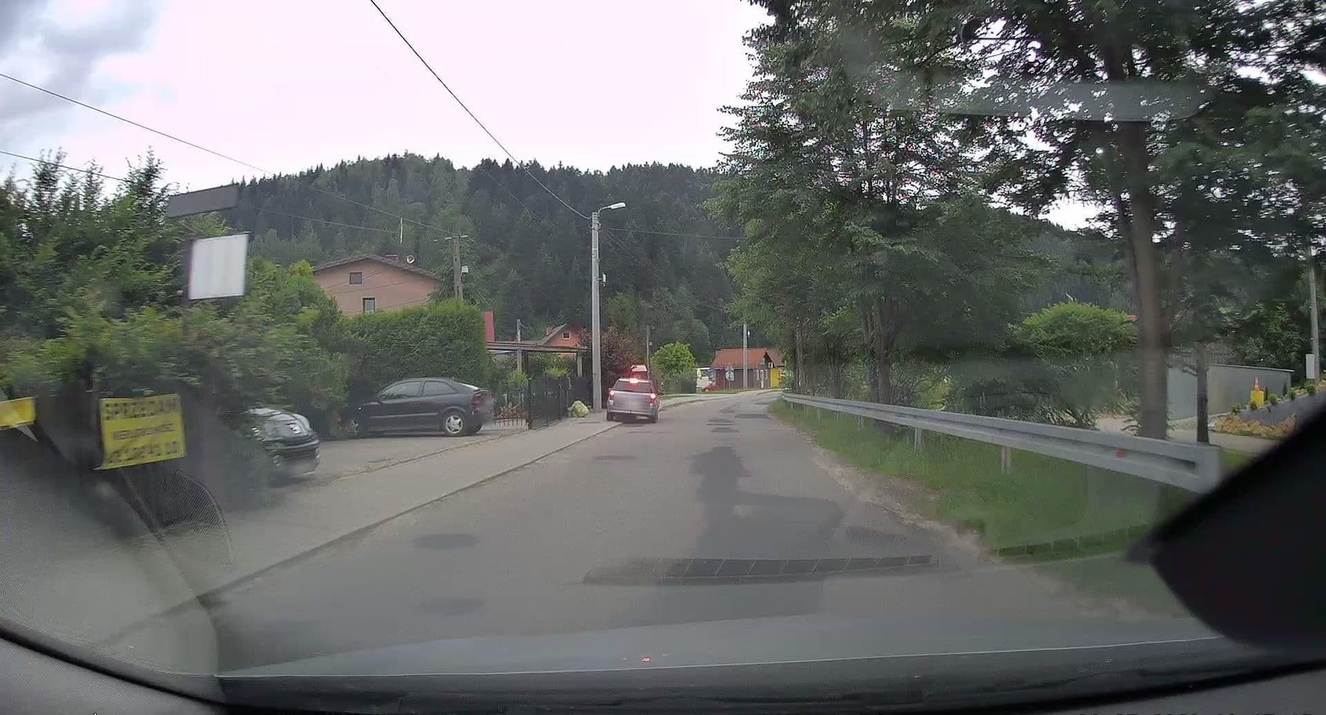 Street view near Eko Pensjonat Jaworzyna, Muszyna — © edc22 (CC BY-SA · Mapillary)