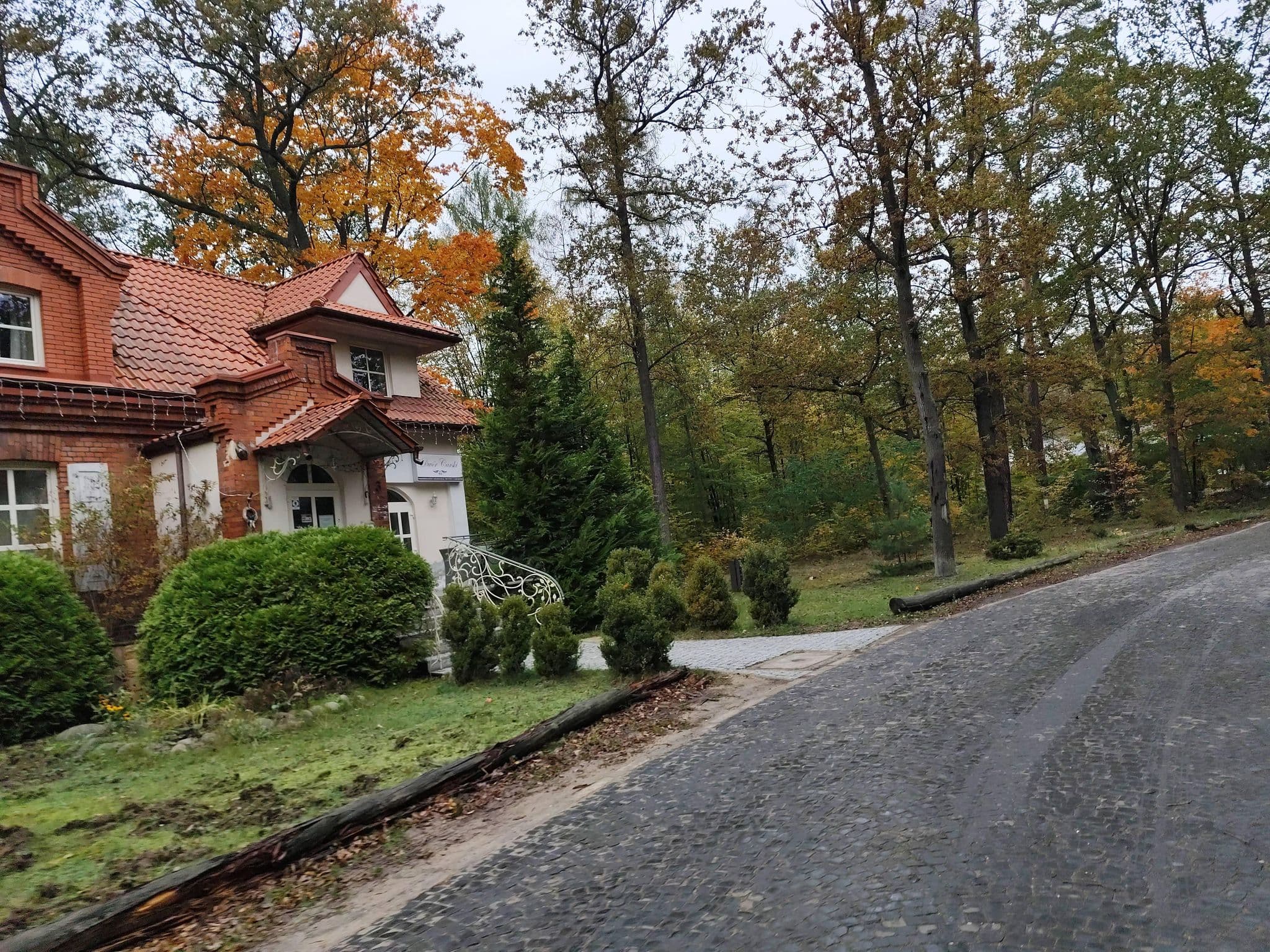 Street view near Max S.C. Jolanta i Michał Słoniewscy, Tomaszów Mazowiecki — © masterofnoroad (CC BY-SA · Mapillary)