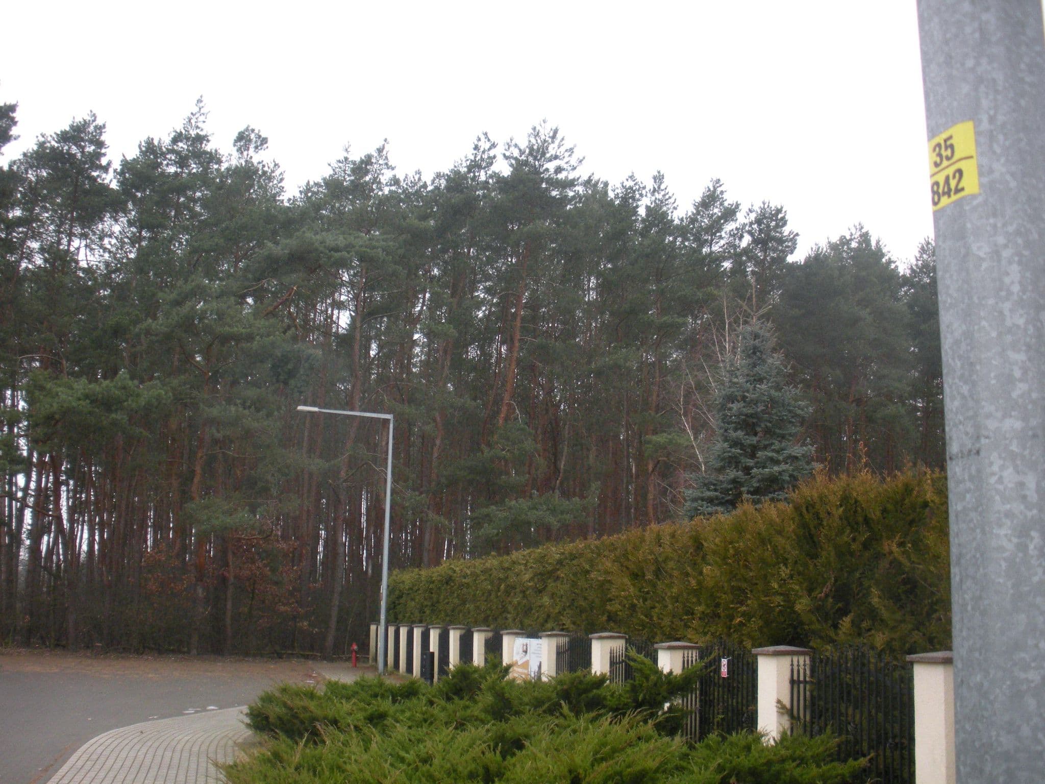 Street view near Kryger Waldemar. Usługi hotelarsko - gastronomiczne, Plewiska — © moje_konto (CC BY-SA · Mapillary)