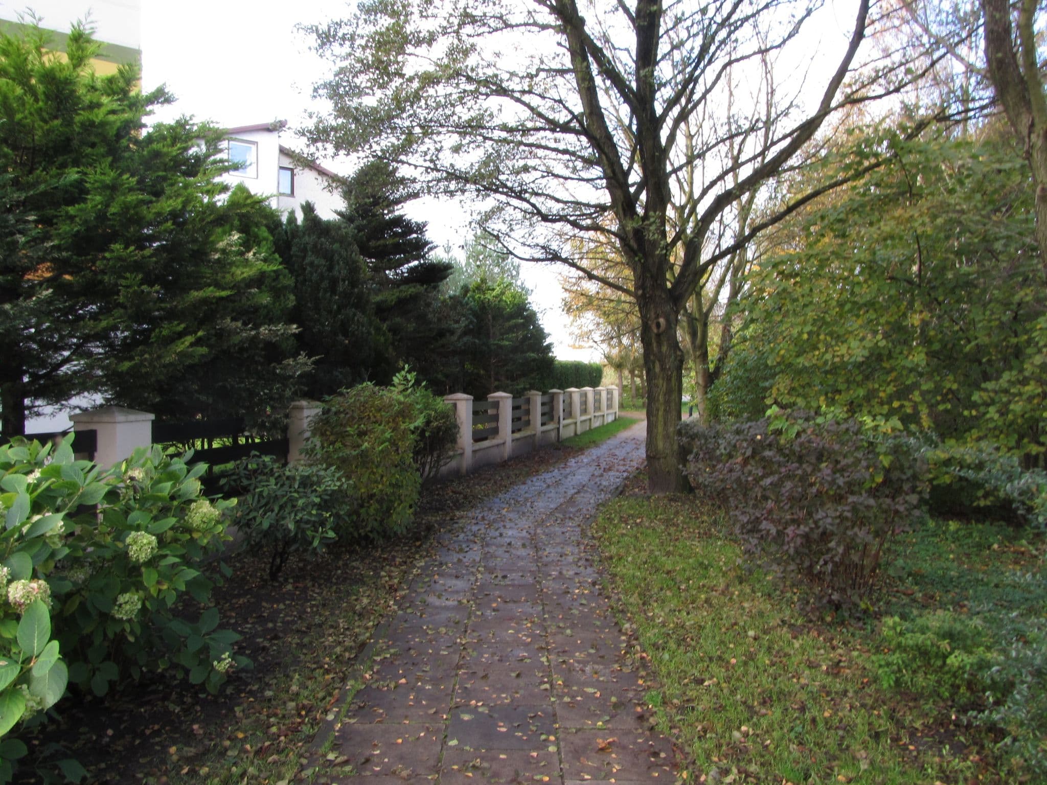Street view near Wiesława. Willa, Kołobrzeg — © GITNE (CC BY-SA · Mapillary)