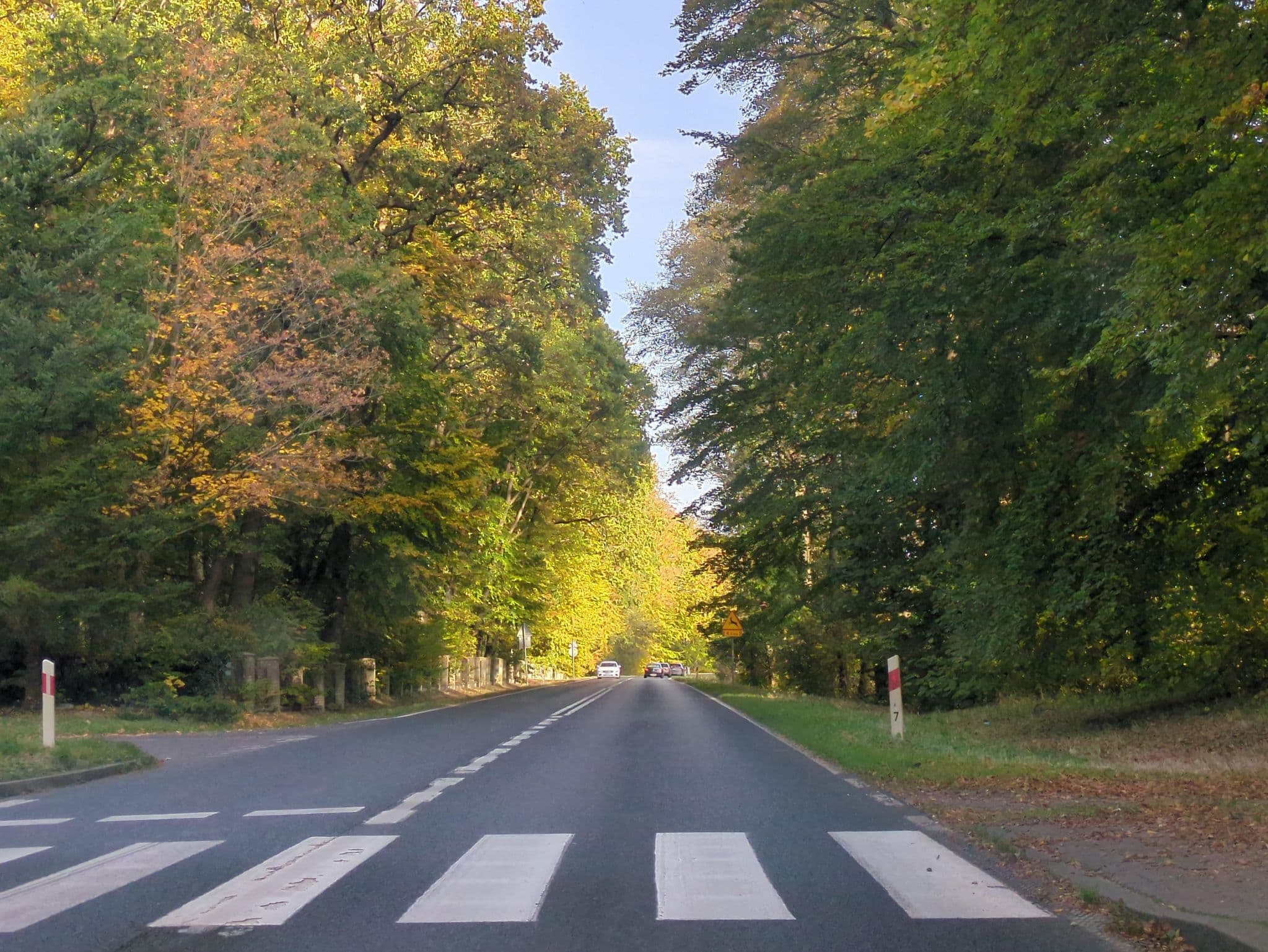 Street view near "Holtur" Sp. z o.o. Przedsiębiorstwo Usługowe Ośrodek Rehabilitacyjno-Wczasowy "Podczele", Kołobrzeg — © 6b17d8c50e264a46 (CC BY-SA · Mapillary)