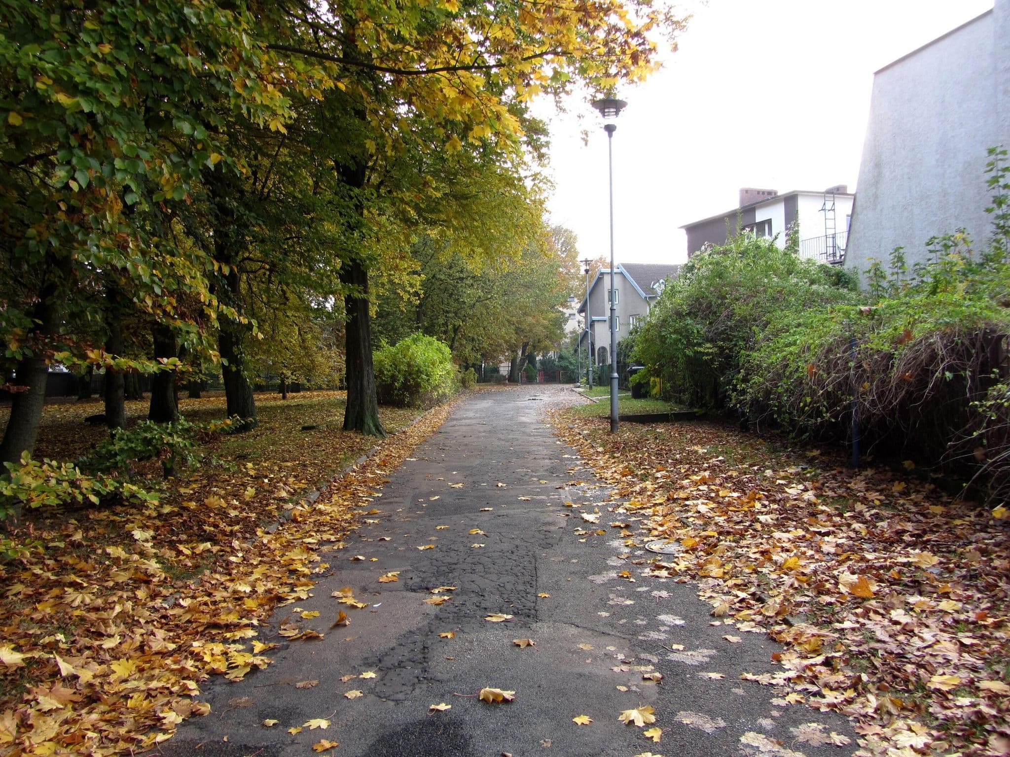 Street view near Hydrozagadka Marcin Ogiński, Kołobrzeg — © GITNE (CC BY-SA · Mapillary)
