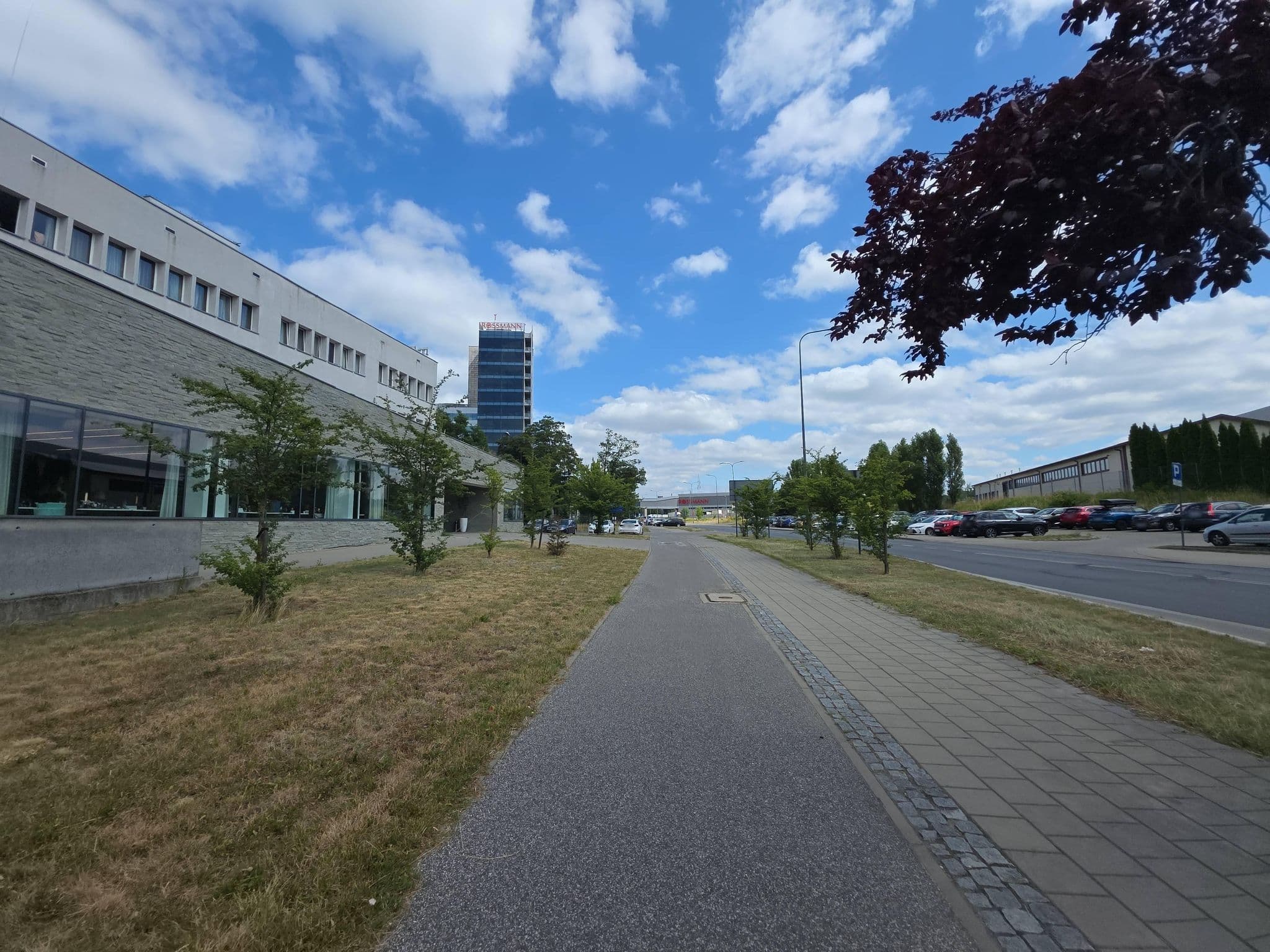 Street view near Uni-Pat Sp. z o.o., Zgierz — © Rowerowa_Lodz (CC BY-SA · Mapillary)