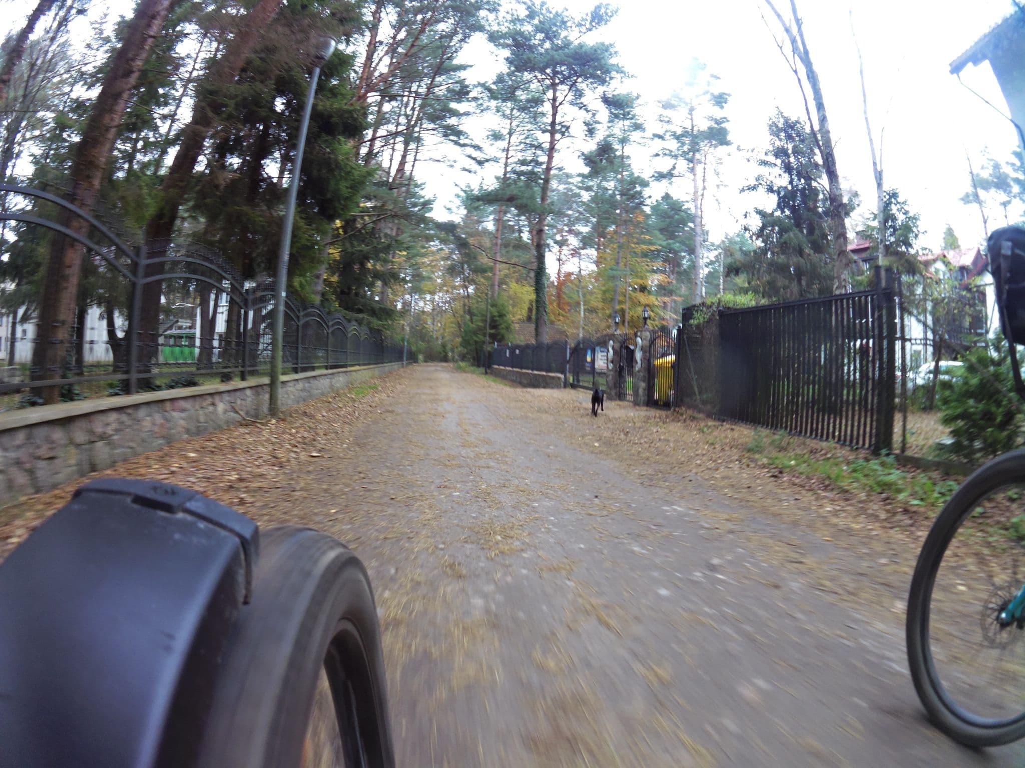 Street view near Domimat-Lila, Wierzchucino — © masterofnoroad (CC BY-SA · Mapillary)