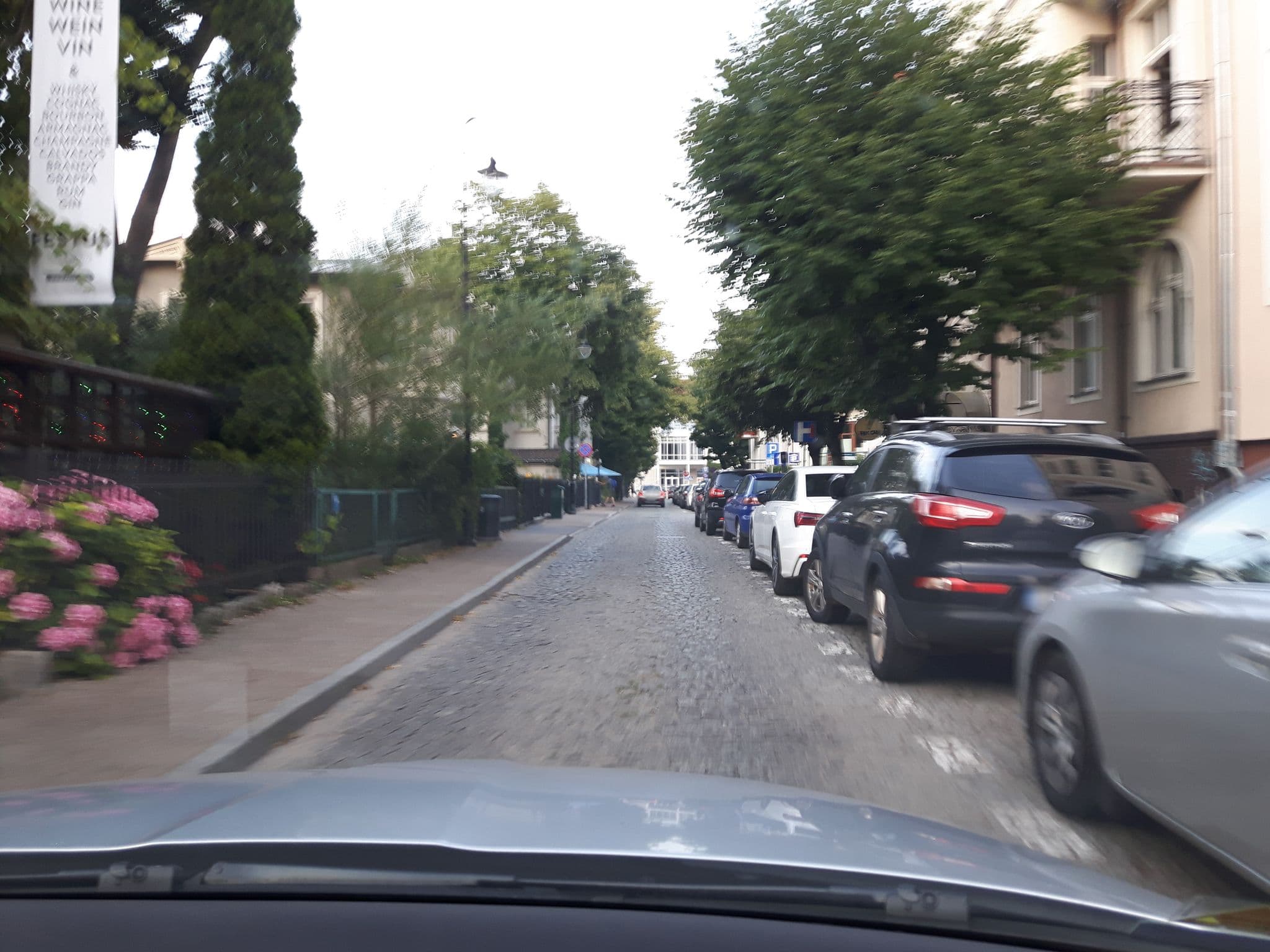 Street view near Boutique Azur Apartments, Sopot — © andpol_2288 (CC BY-SA · Mapillary)