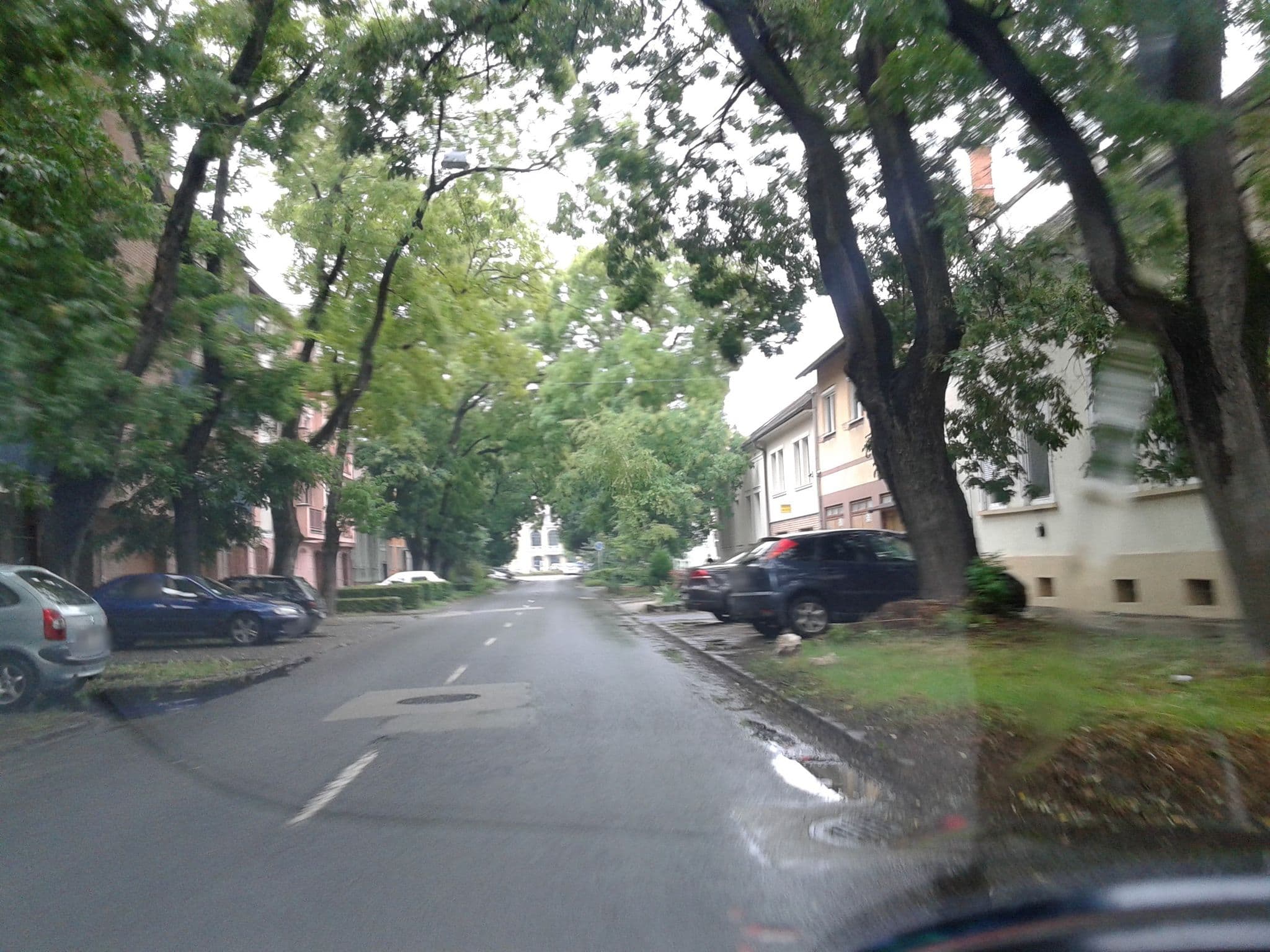 Street view near Brindza Vendégház, Szeged — © esandorhu (CC BY-SA · Mapillary)