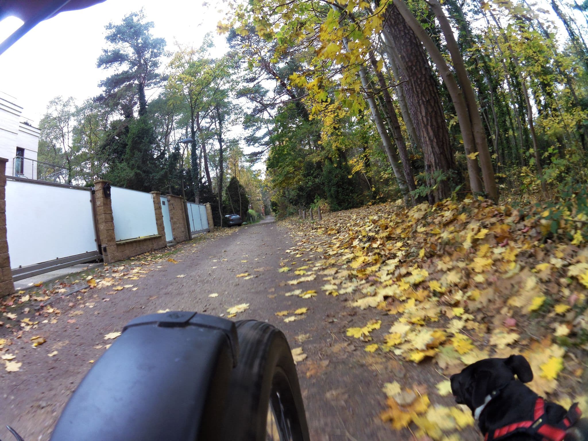 Street view near BlueApart Bursztynowa Zatoka Jurata, Jastarnia — © masterofnoroad (CC BY-SA · Mapillary)