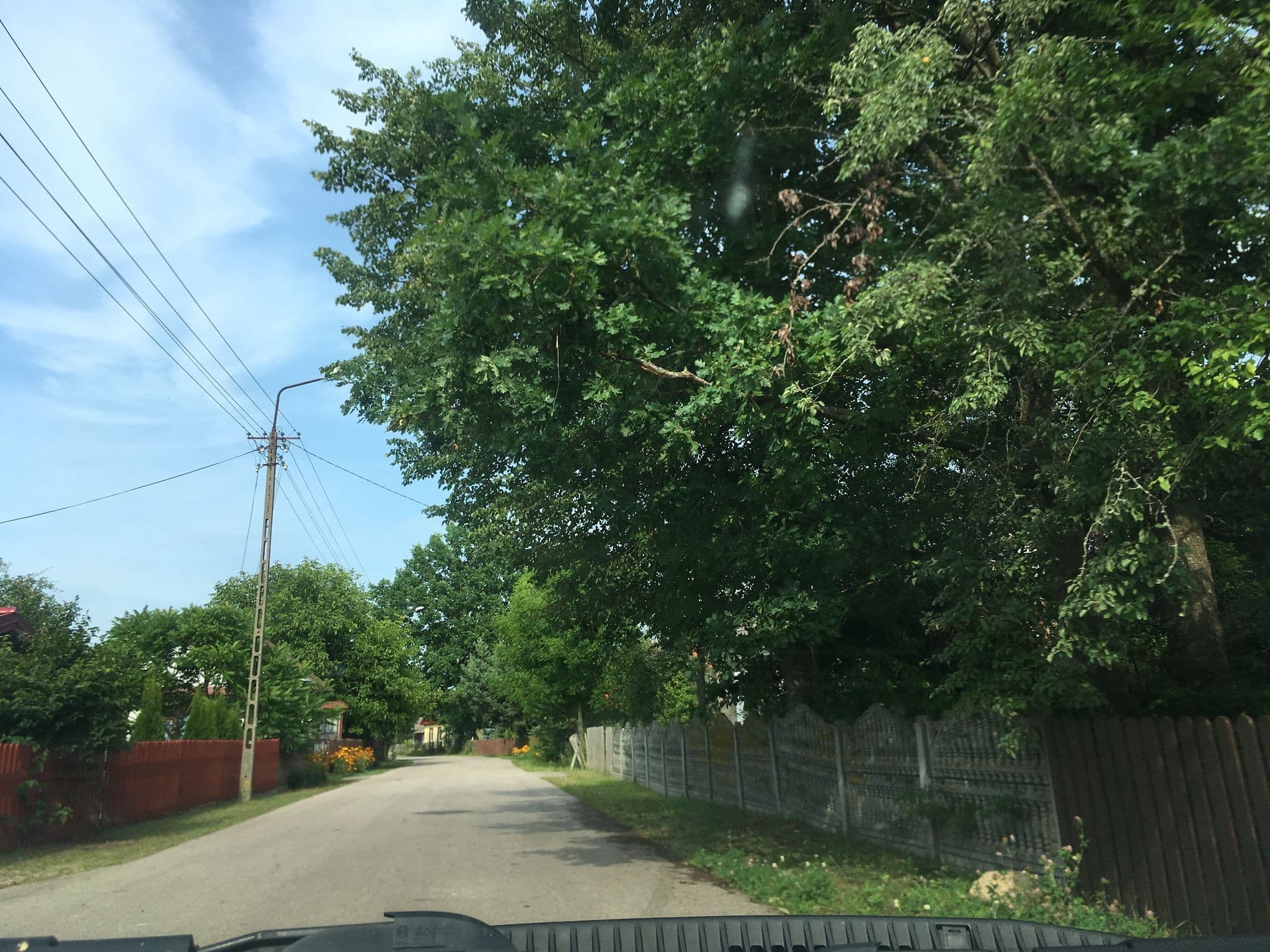 Street view near Dom Pasieki, Białowieża — © szurek (CC BY-SA · Mapillary)