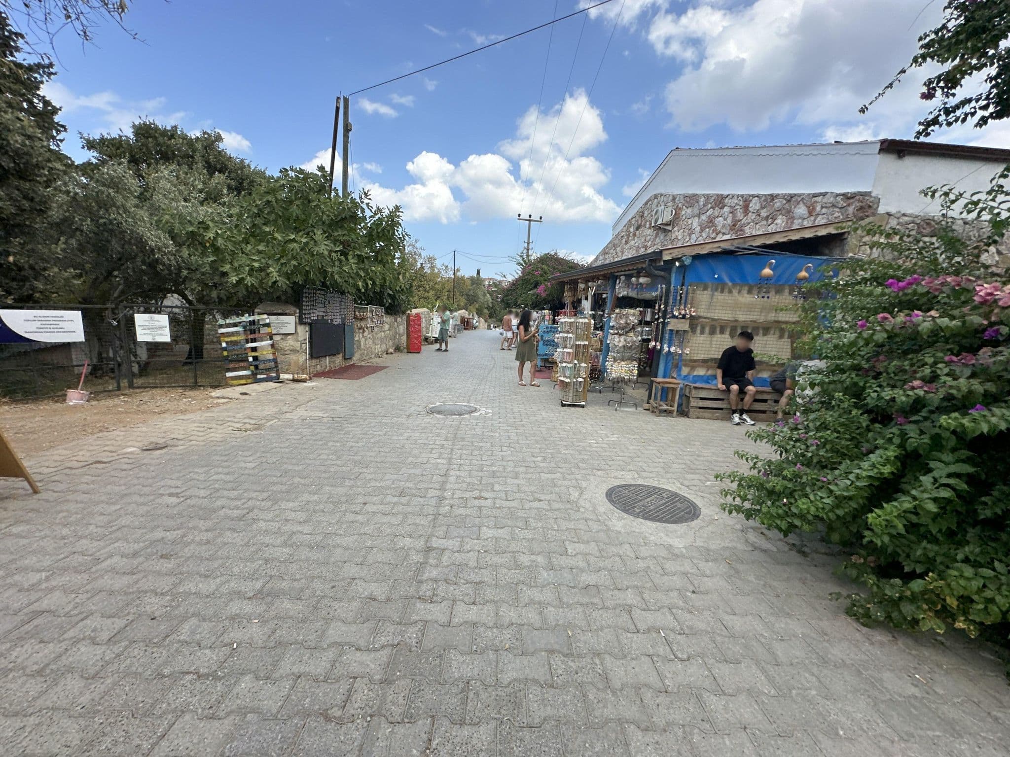 Street view near Nysa Hotel, Datça — © asturksever (CC BY-SA · Mapillary)