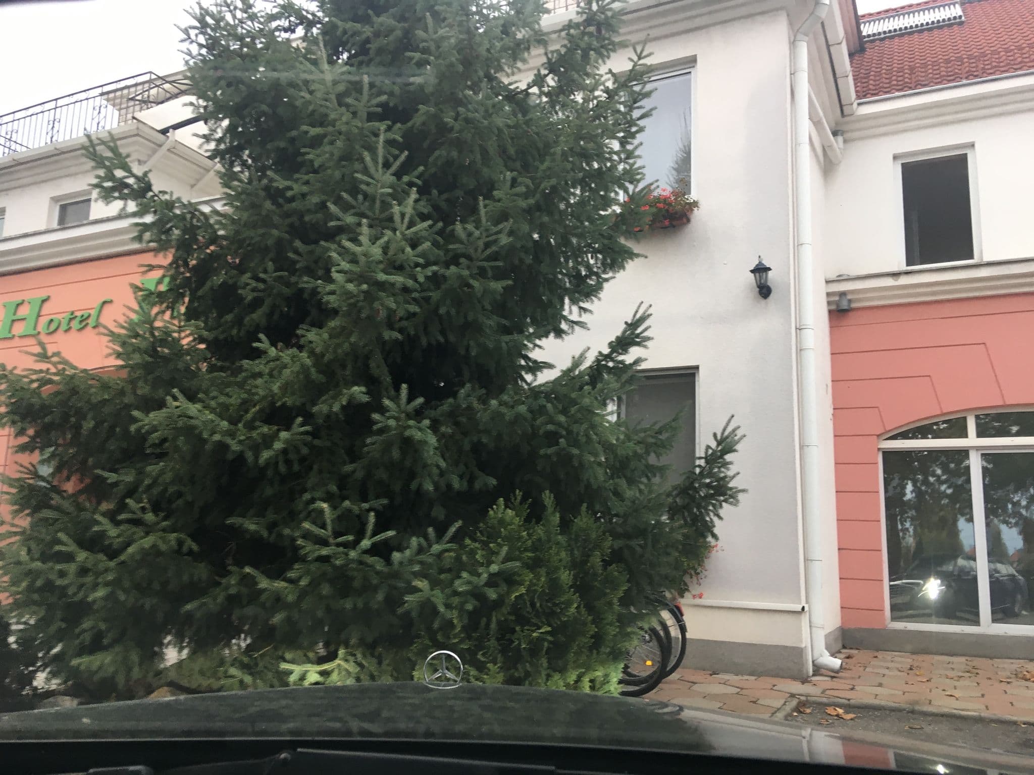 Street view near Platán Szálló, Debrecen — © romanshikin (CC BY-SA · Mapillary)