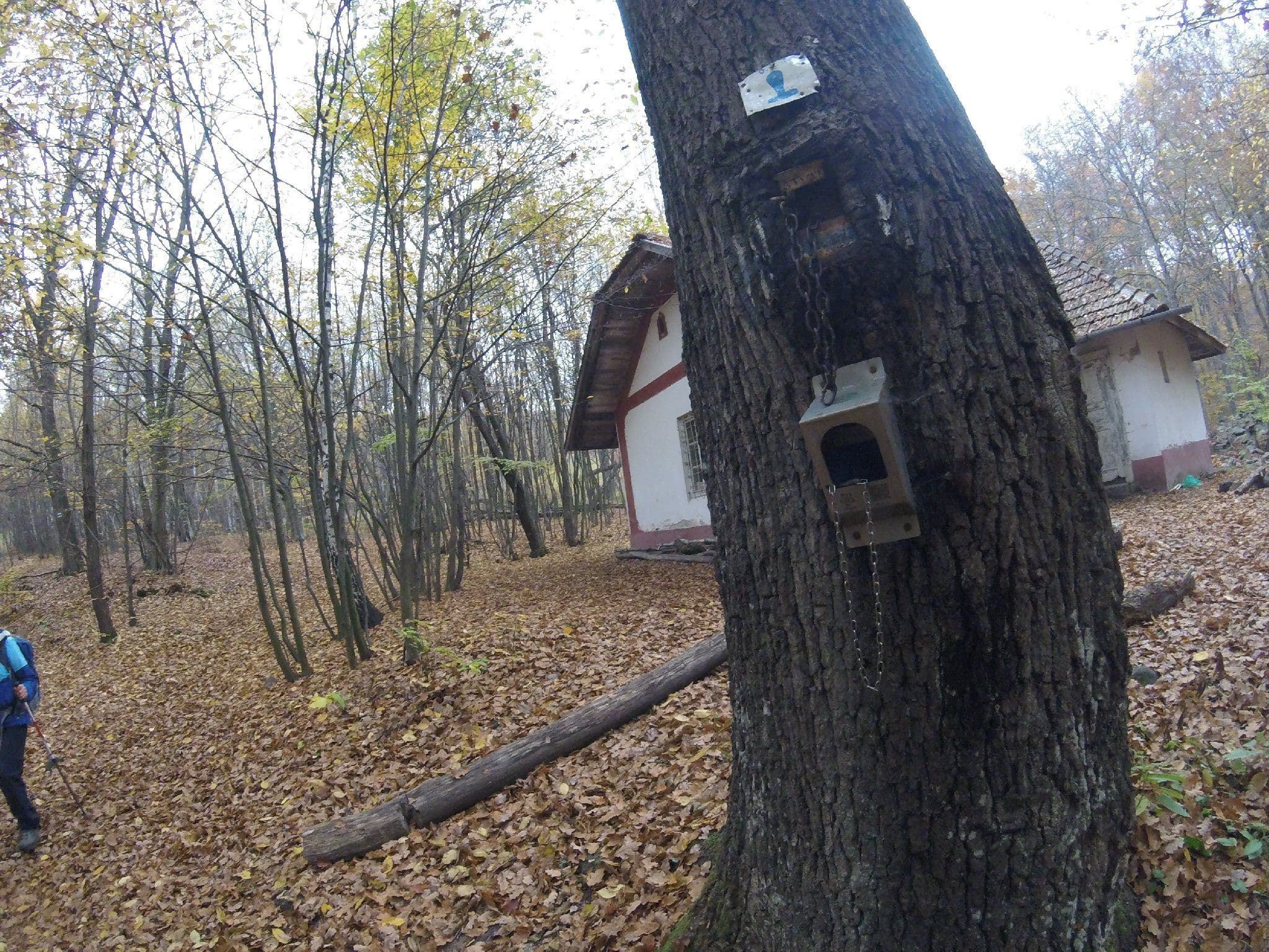 Street view near István-kúti kőház (négyévszakos pihenőház), Gönc — © utvonalfelmeresek (CC BY-SA · Mapillary)