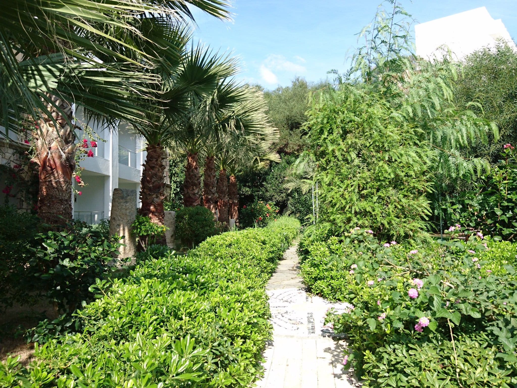 Street view near salmakis room 521, Bodrum — © thebiker (CC BY-SA · Mapillary)