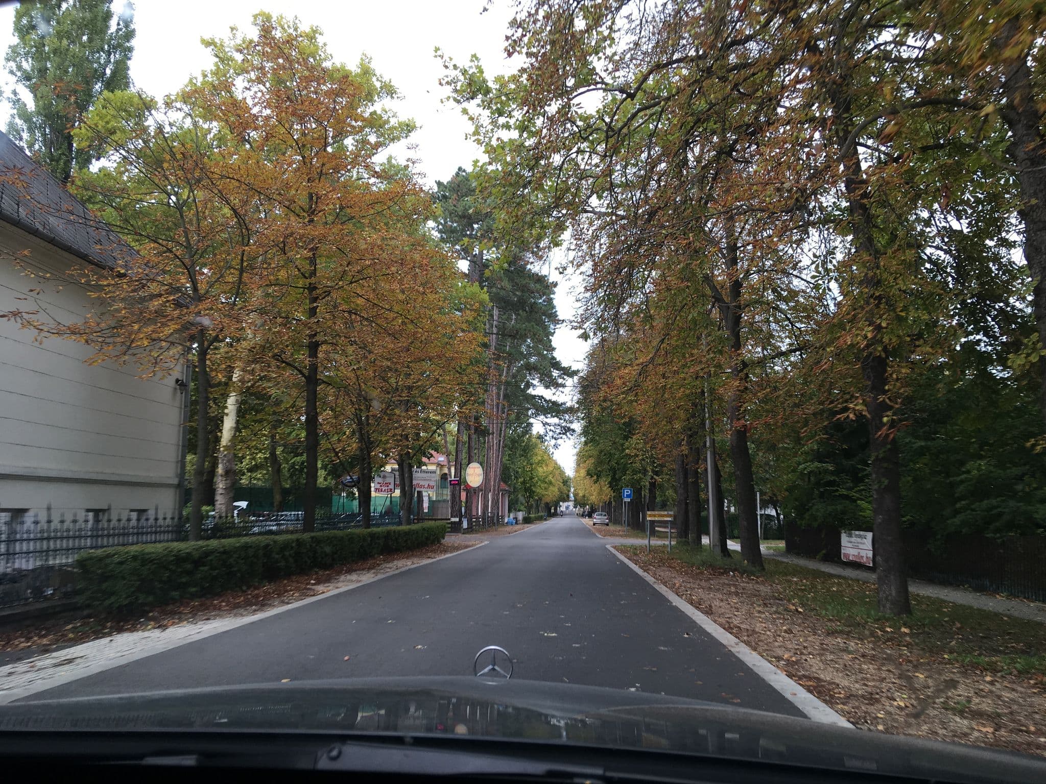 Street view near Aszfalt panzió, Balatonföldvár — © romanshikin (CC BY-SA · Mapillary)
