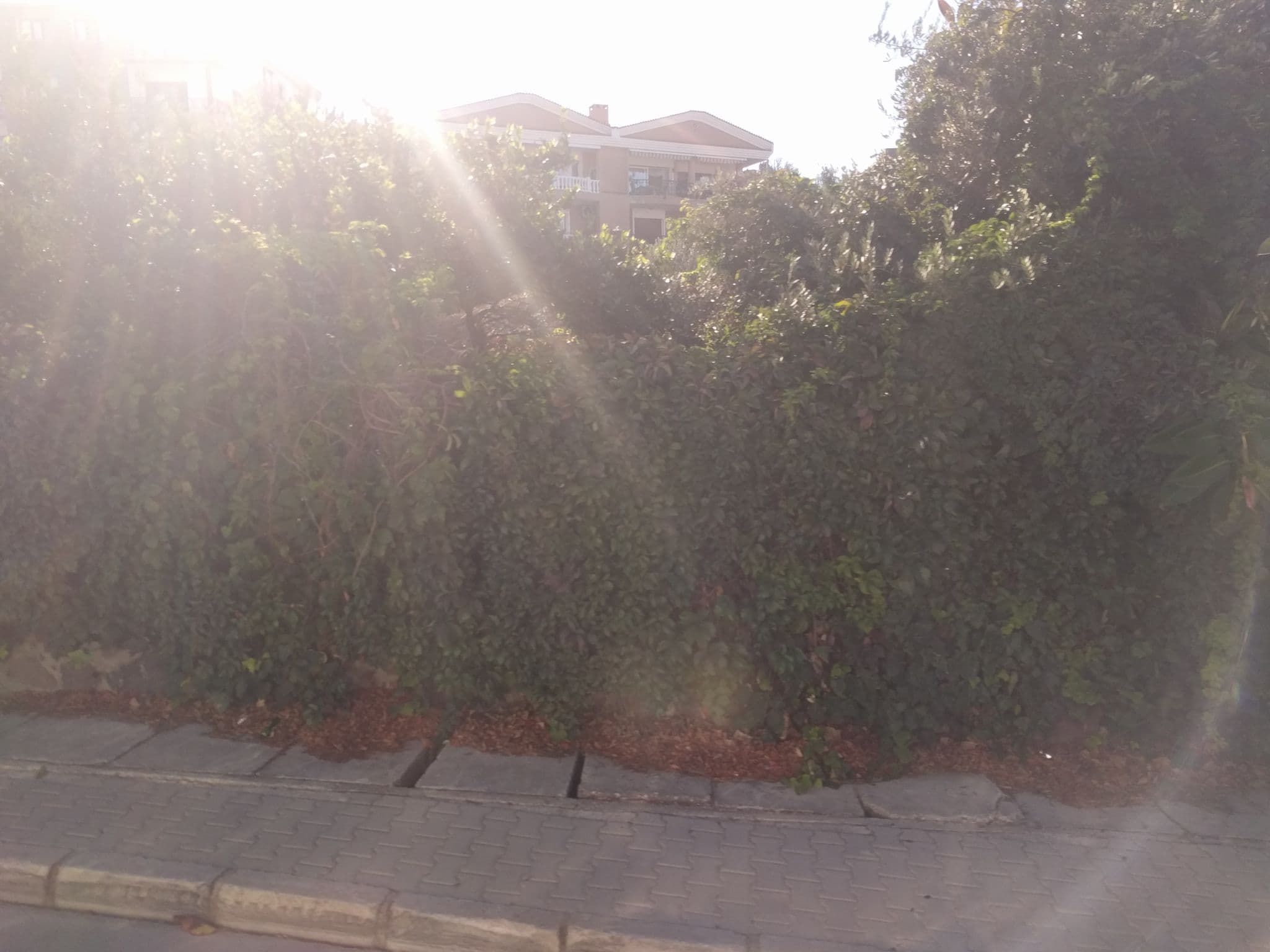 Street view near Amare Çeşme Hotel, Çeşme — © ubenzer (CC BY-SA · Mapillary)