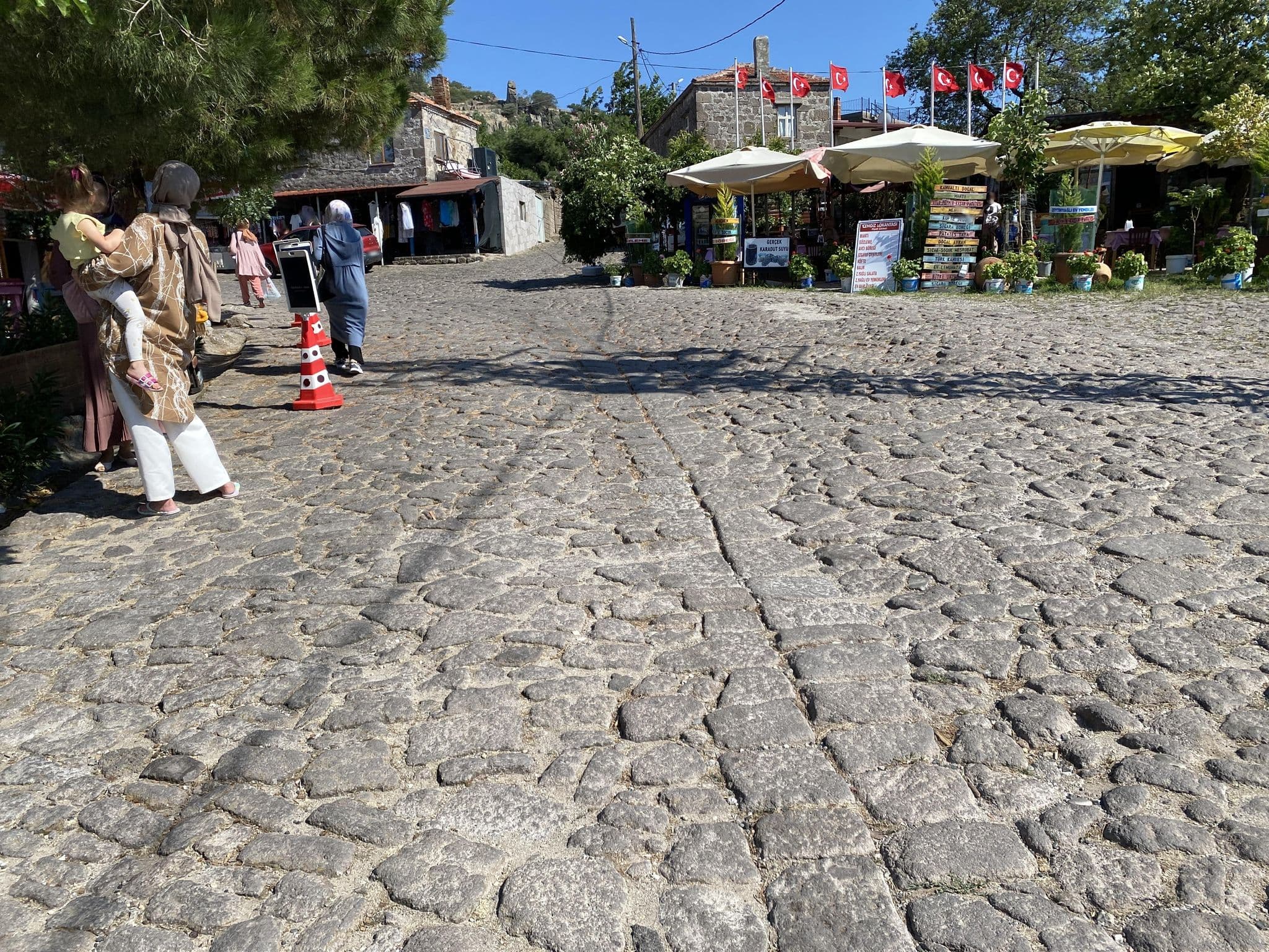 Street view near Doğa Köy Evi, Behram — © asturksever (CC BY-SA · Mapillary)