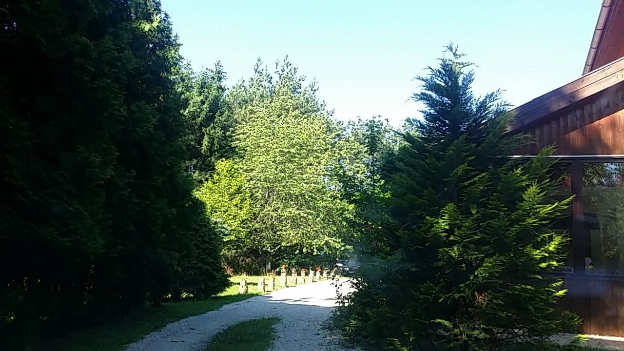 Street view near Erdei álom lombház, Zalalövő — © utvonalfelmeresek (CC BY-SA · Mapillary)