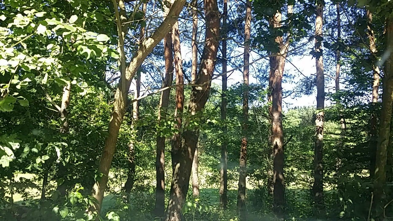Street view near Öreg lombház, Zalalövő — © utvonalfelmeresek (CC BY-SA · Mapillary)