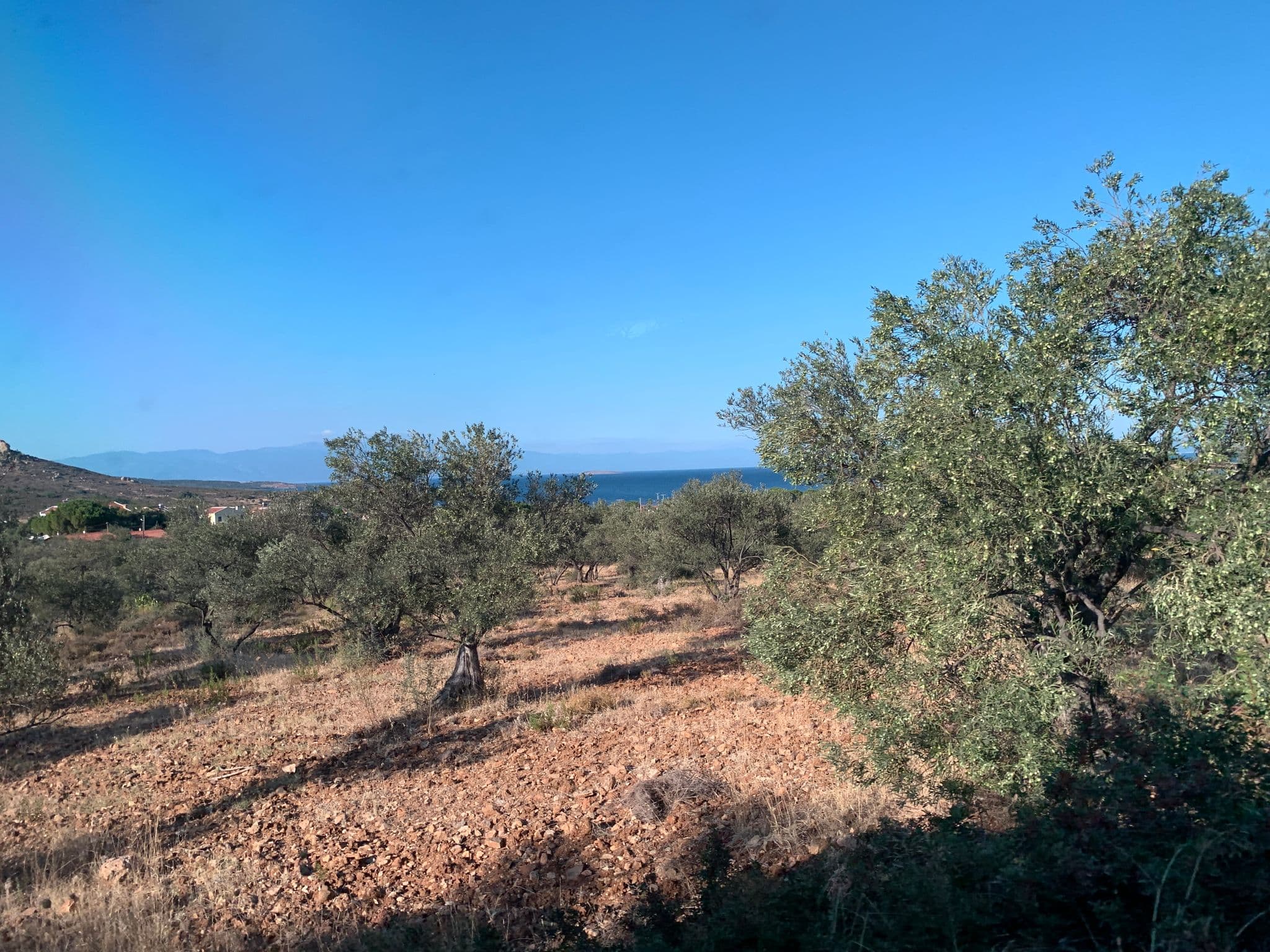 Street view near Ozgur Pansiyon, Ayvalık — © ramses (CC BY-SA · Mapillary)