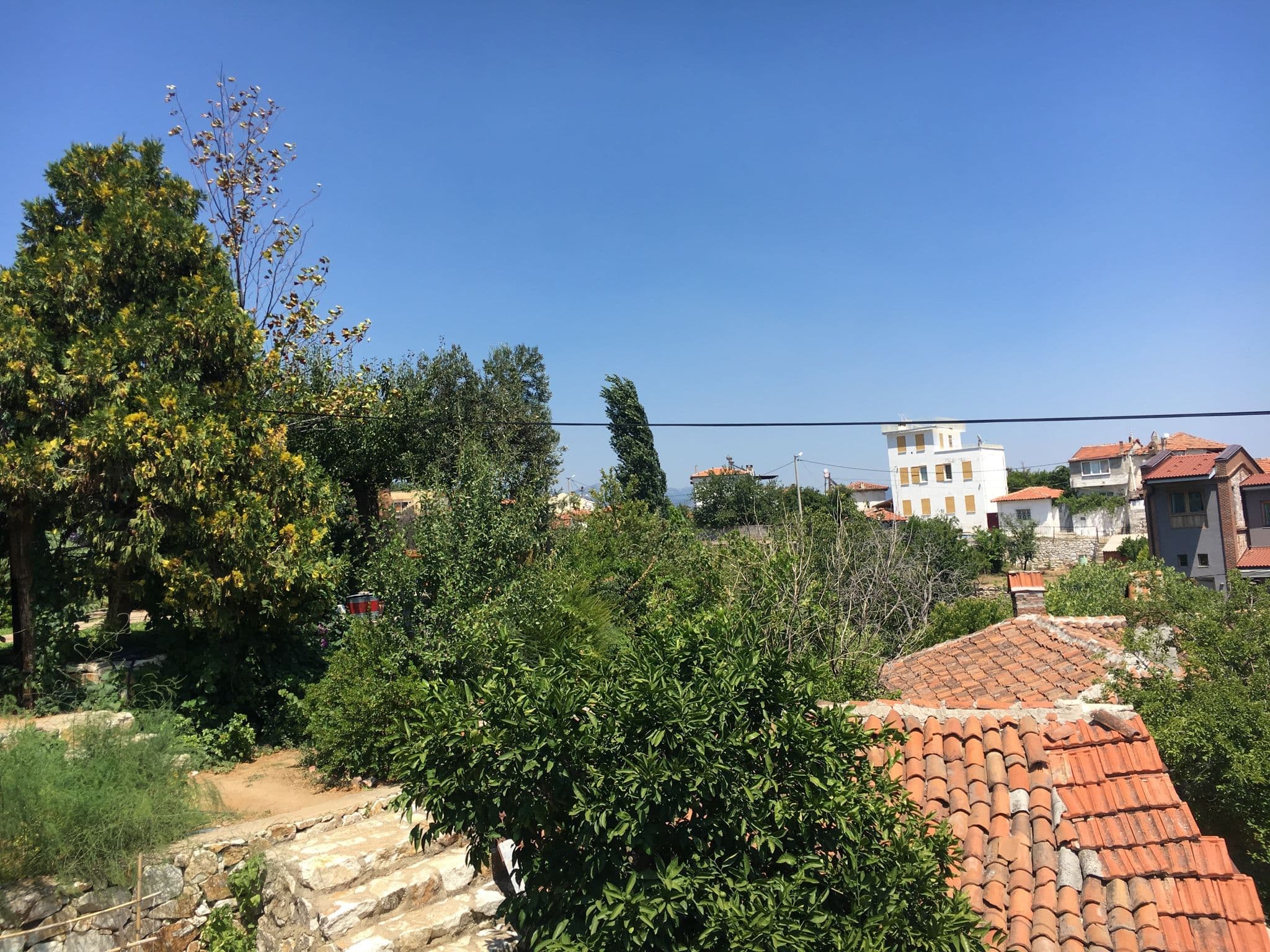 Street view near Zeytinbağı, Altınoluk — © semi (CC BY-SA · Mapillary)