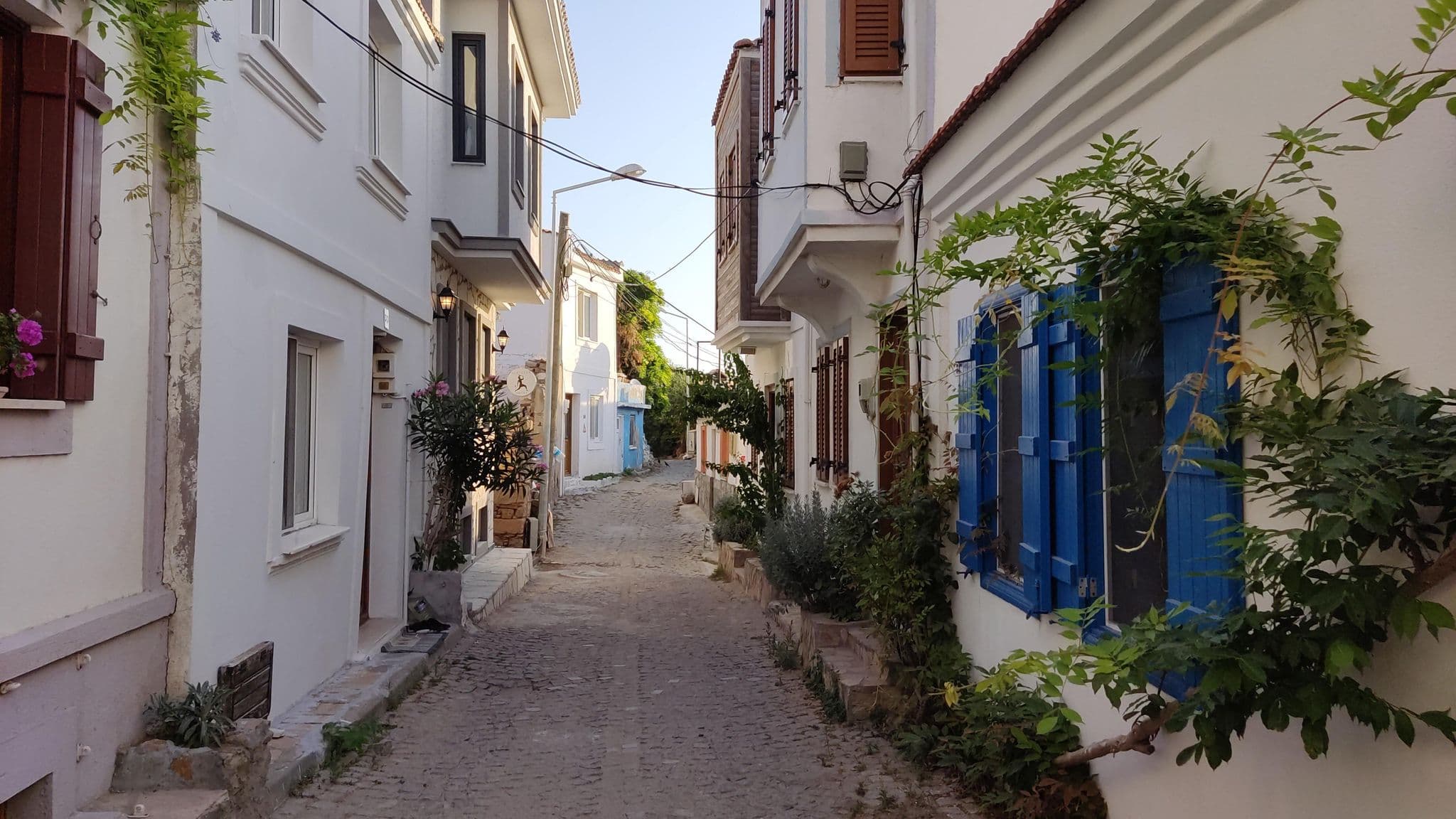 Street view near Petunya, Bozcaada — © orkut (CC BY-SA · Mapillary)