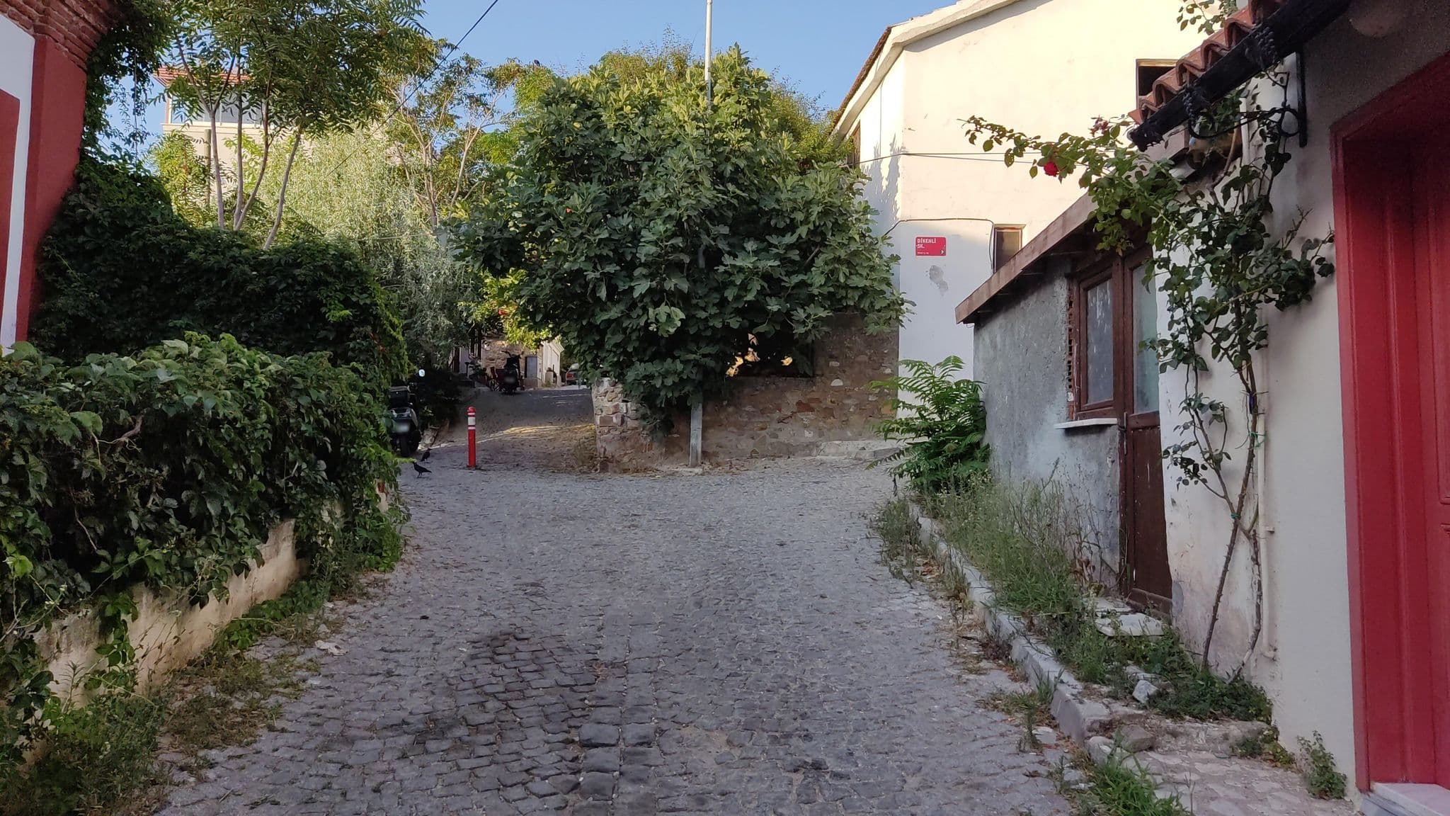 Street view near Bozcaada Sakin Konuk Evi, Bozcaada — © orkut (CC BY-SA · Mapillary)