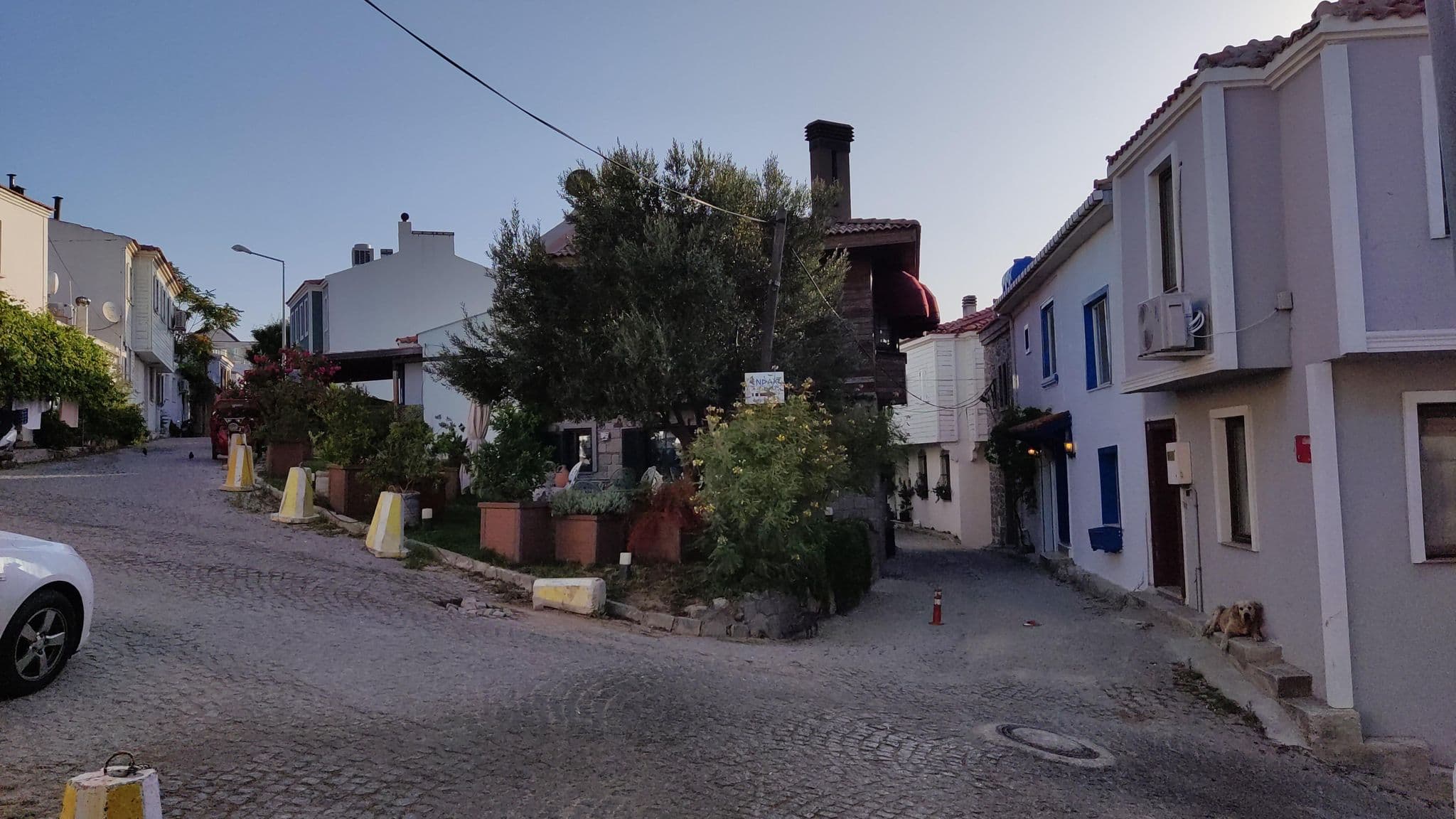 Street view near Sardunya Otel, Bozcaada — © orkut (CC BY-SA · Mapillary)