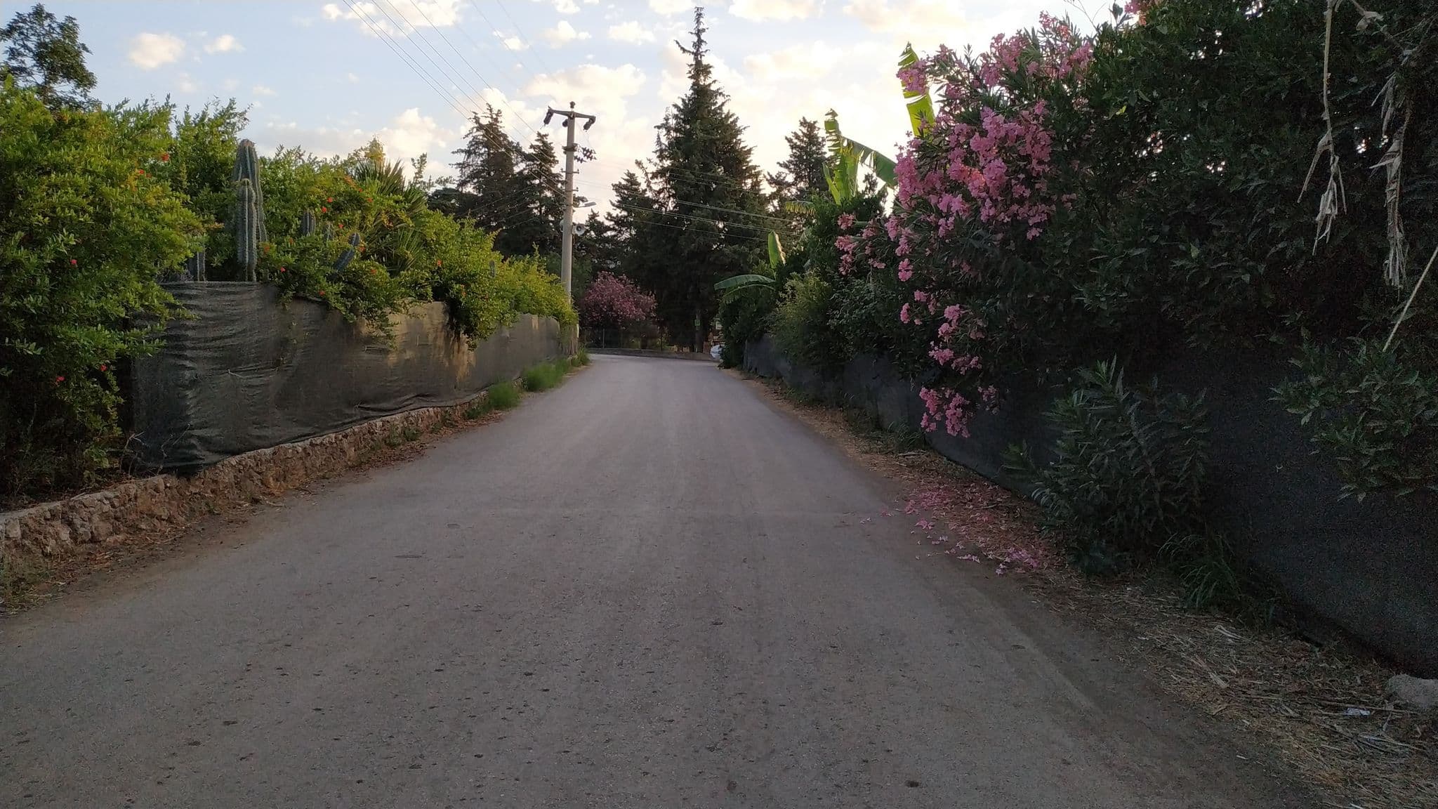 Street view near Safir Pansiyon, Ulupınar — © limping (CC BY-SA · Mapillary)