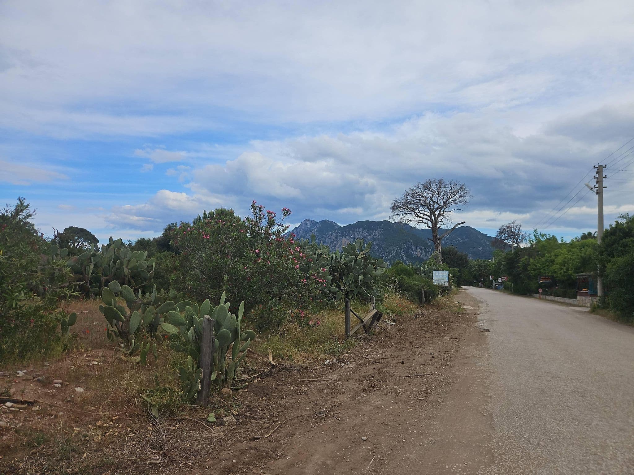 Street view near Çıralı Ali Baba Pension, Ulupınar — © ursus (CC BY-SA · Mapillary)