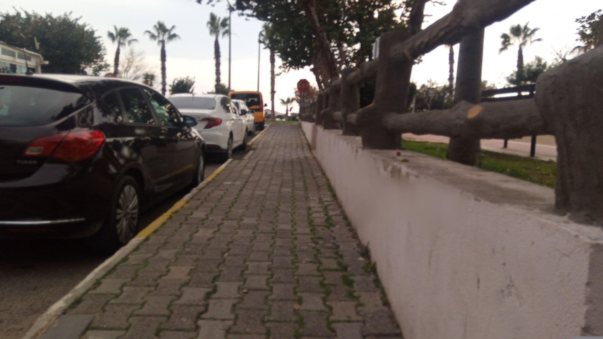 Street view near Cleopatra Alis Otel, Hacımehmetli — © shoorick (CC BY-SA · Mapillary)