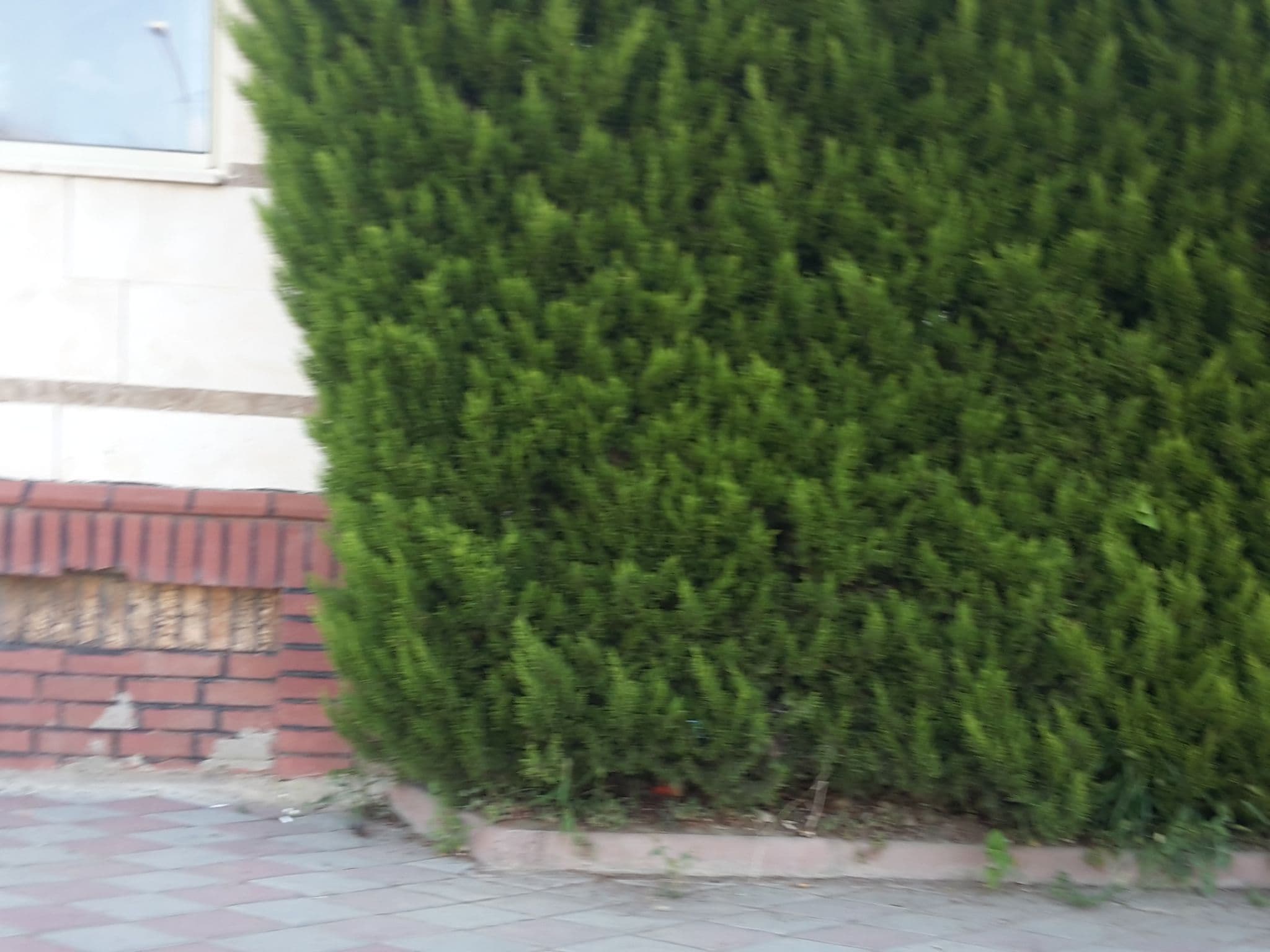Street view near Alatimya Village Hotel, Kemer — © bigmap (CC BY-SA · Mapillary)