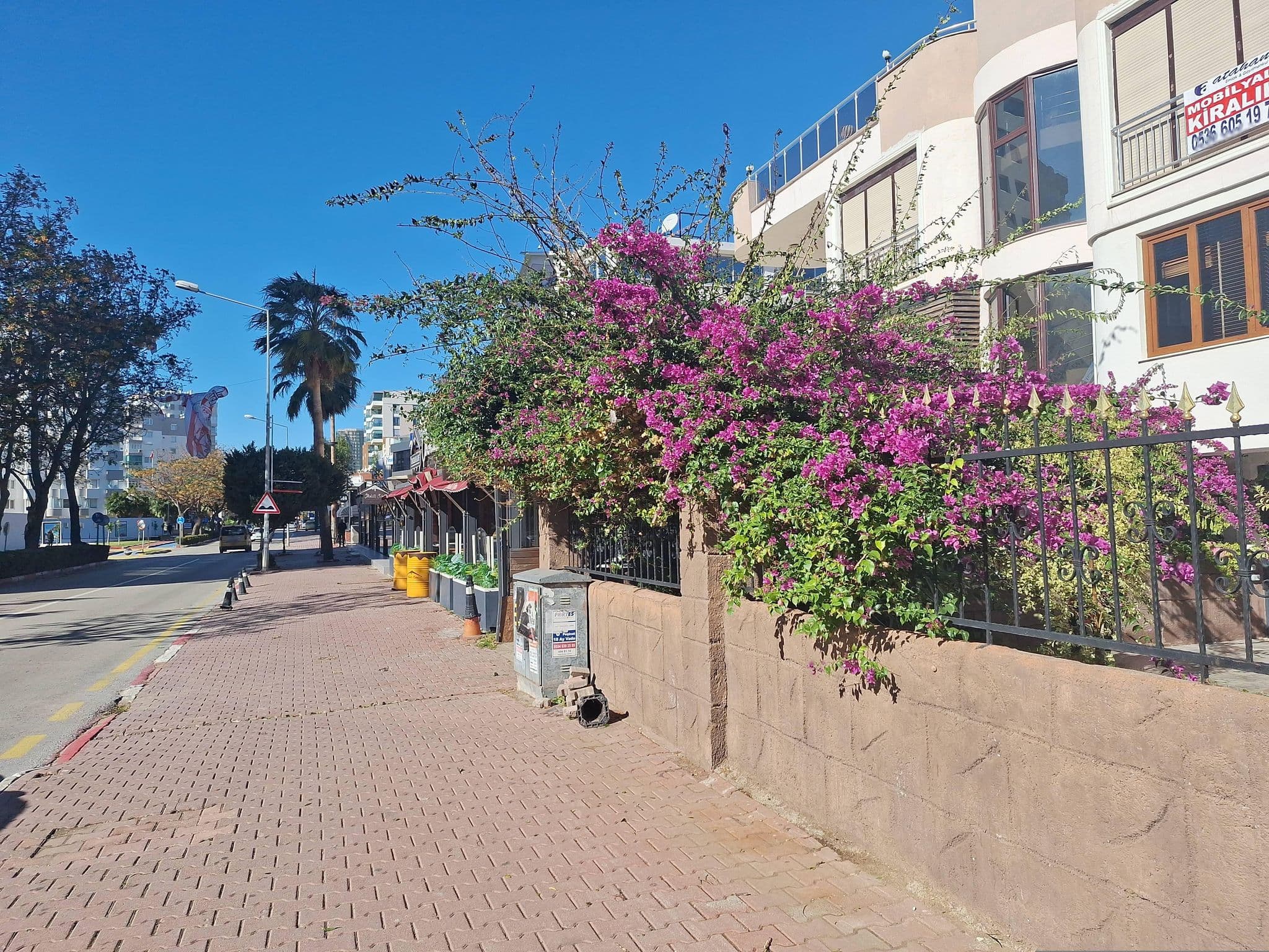 Street view near Ed Royal Apart, Muratpaşa — © Guria (CC BY-SA · Mapillary)
