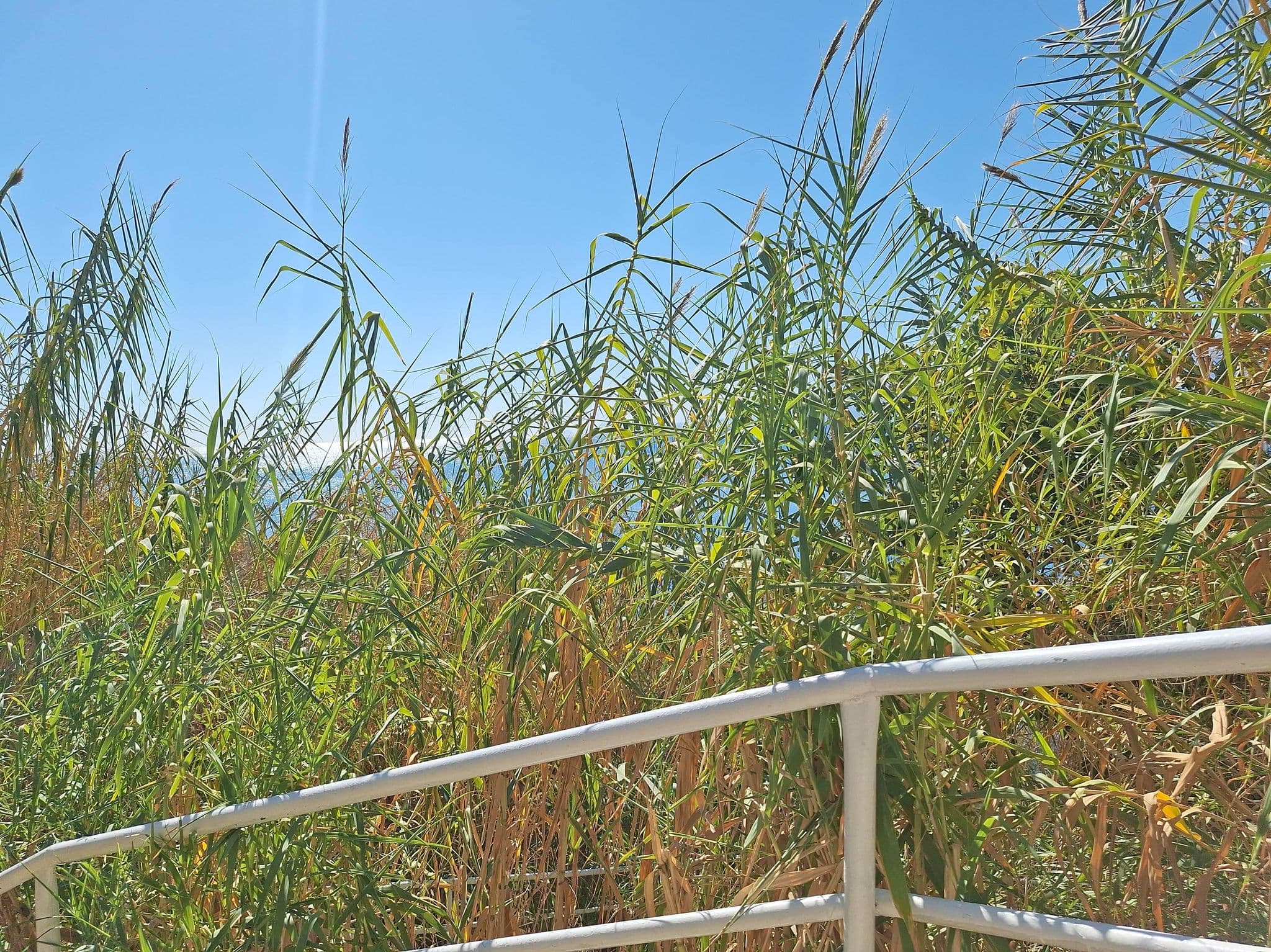 Street view near rixos downtown, Antalya — © Guria (CC BY-SA · Mapillary)