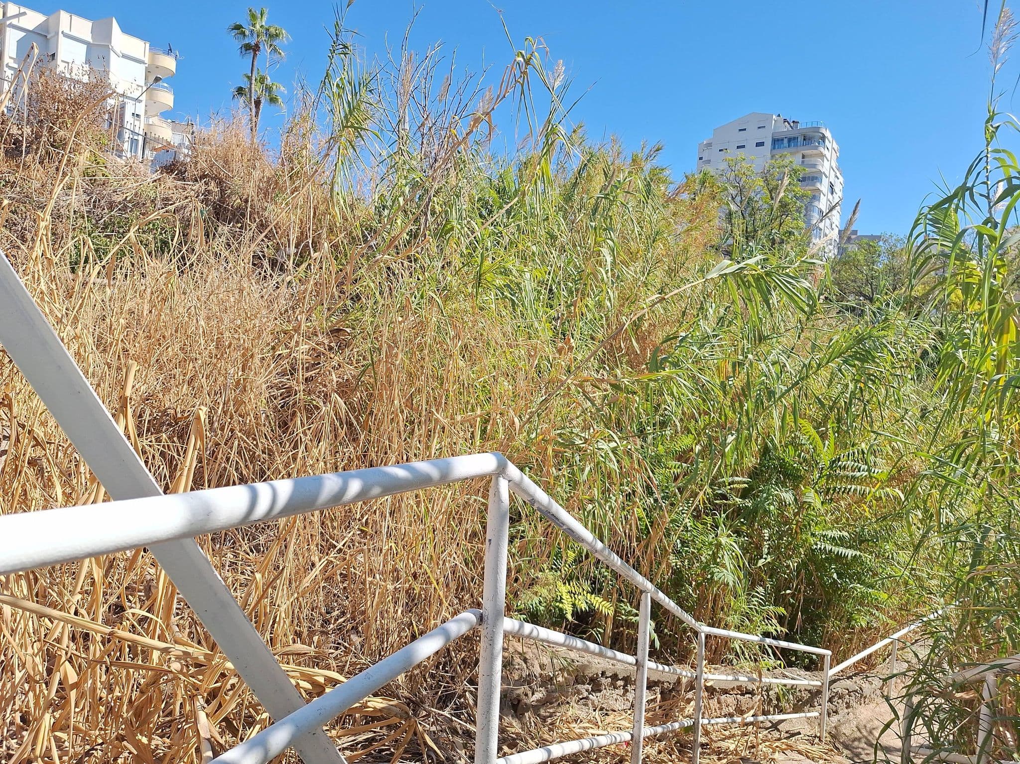 Street view near saç kurutmakta, Antalya — © Guria (CC BY-SA · Mapillary)
