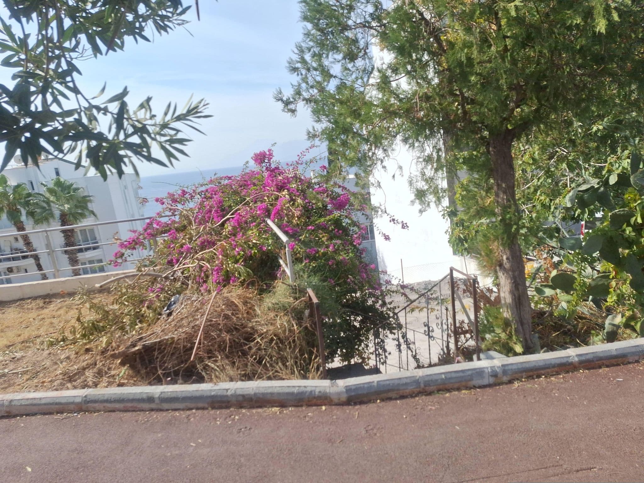 Street view near Tatil'de, Muratpaşa — © Guria (CC BY-SA · Mapillary)