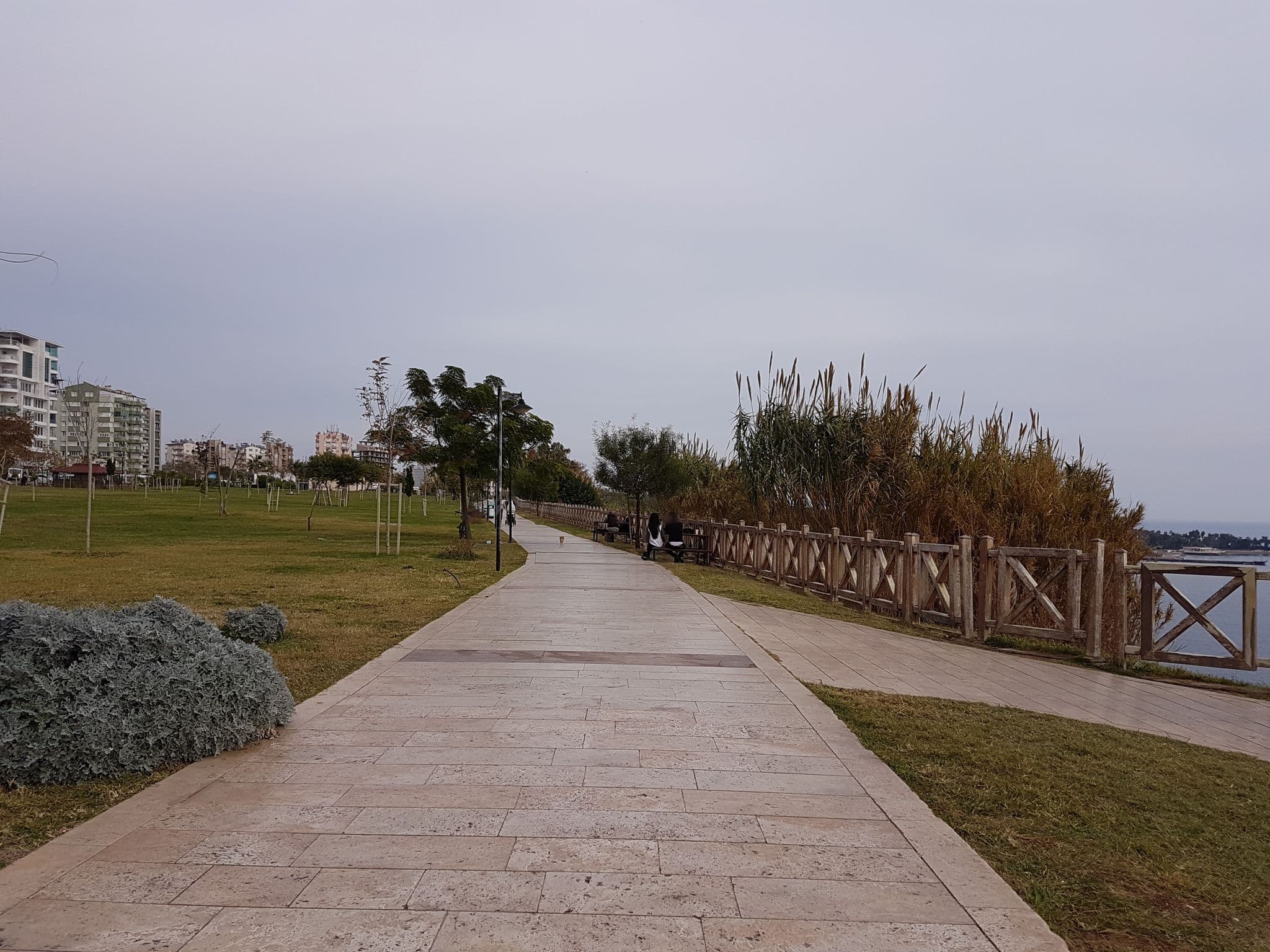 Street view near Z&M's Room, Muratpaşa — © medix (CC BY-SA · Mapillary)