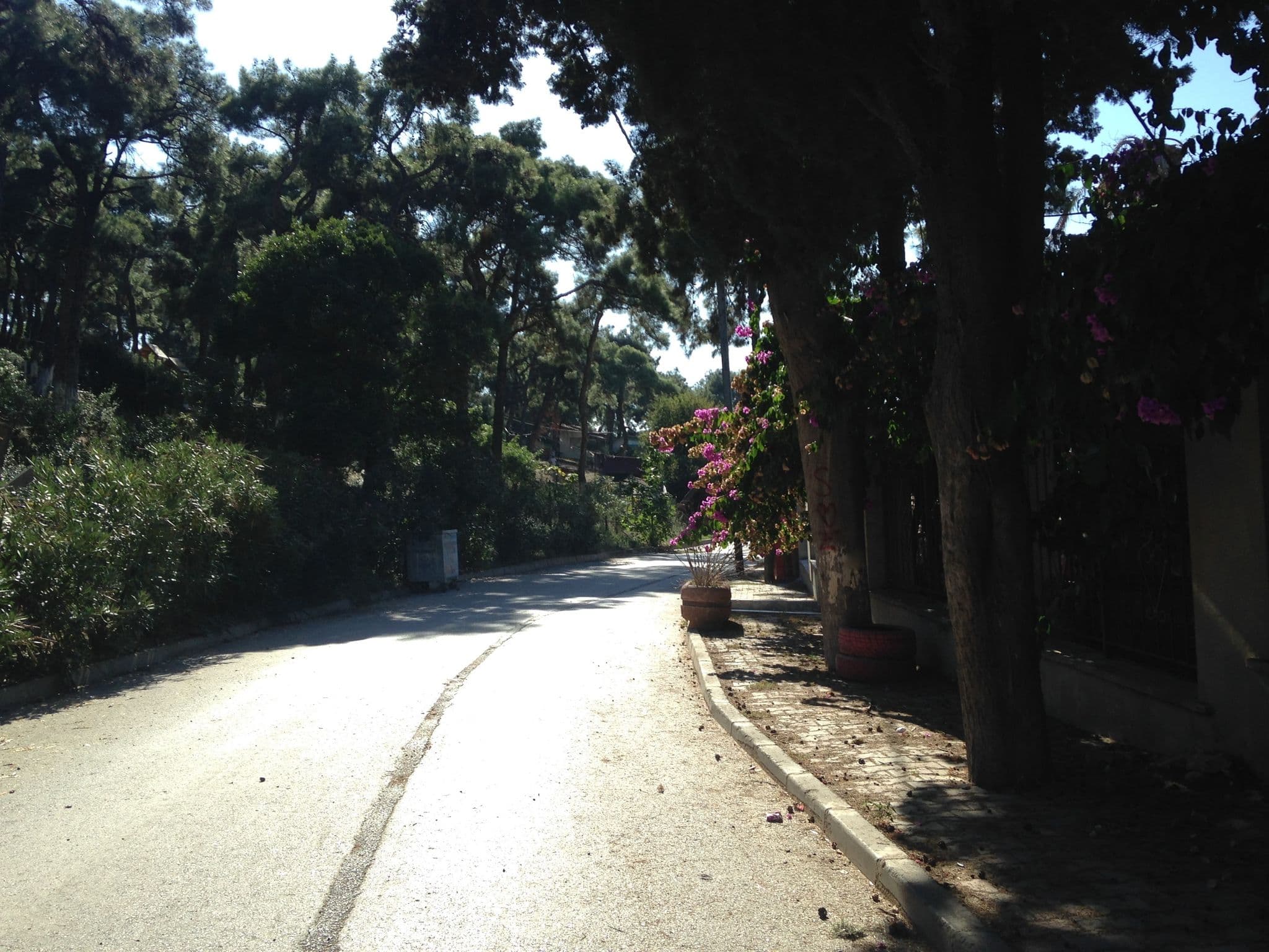 Street view near Ada Pansiyon, Adalar — © golyanitskiy (CC BY-SA · Mapillary)