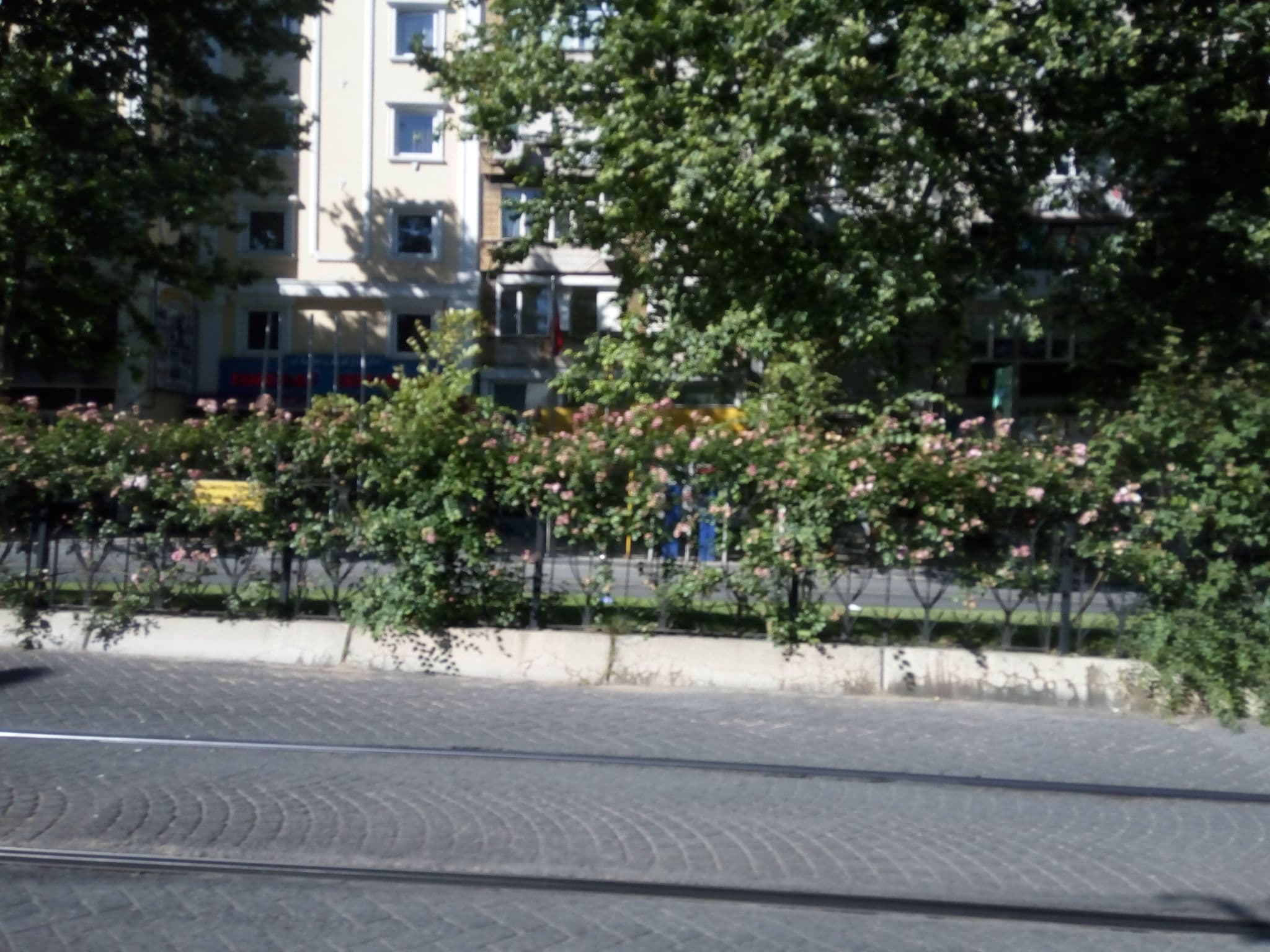 Street view near Divan otel istanbul, Fatih — © mapfool (CC BY-SA · Mapillary)