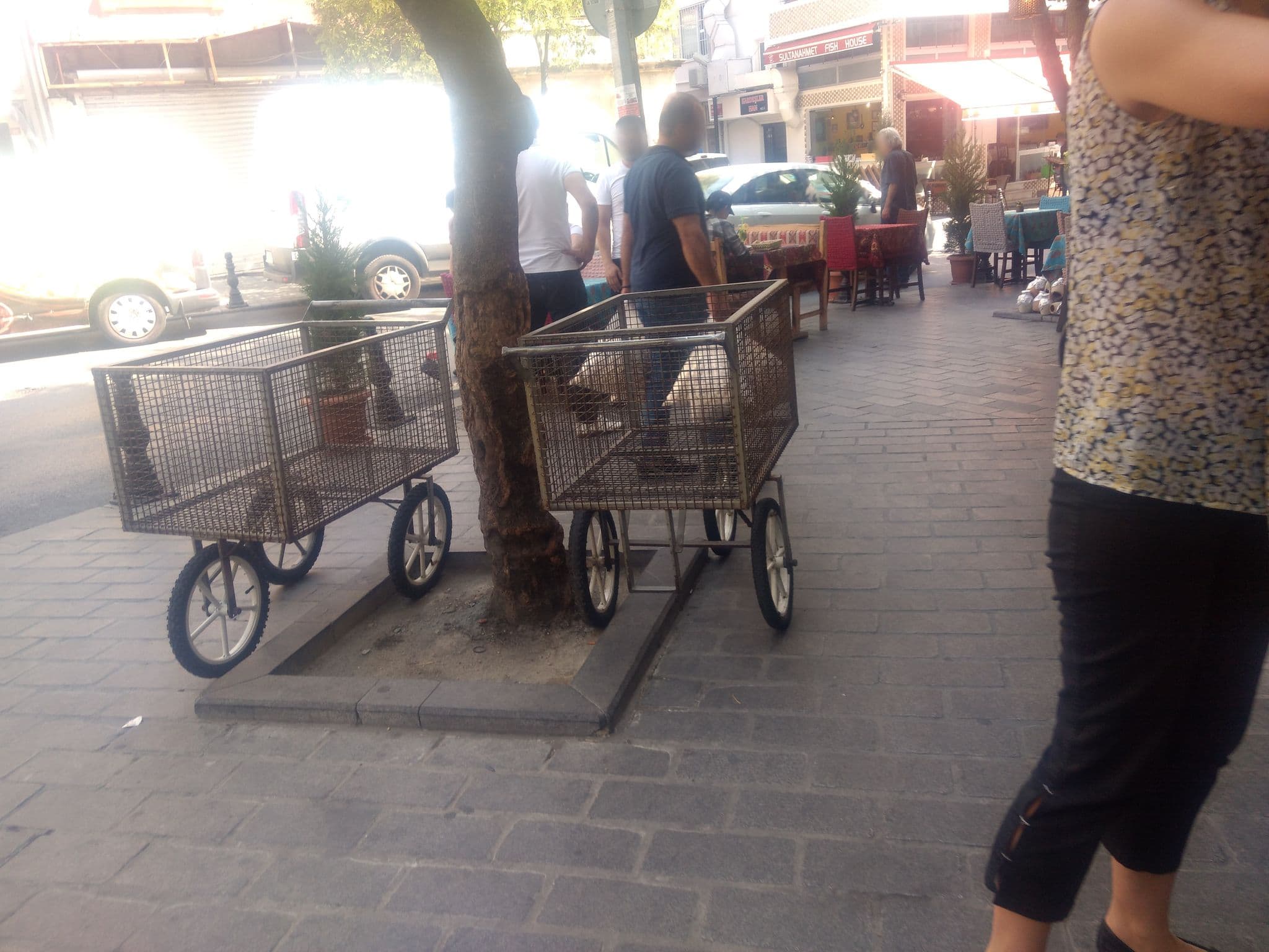 Street view near Ring Stones Hotel Old City, Sultanahmet — © mapeadora (CC BY-SA · Mapillary)