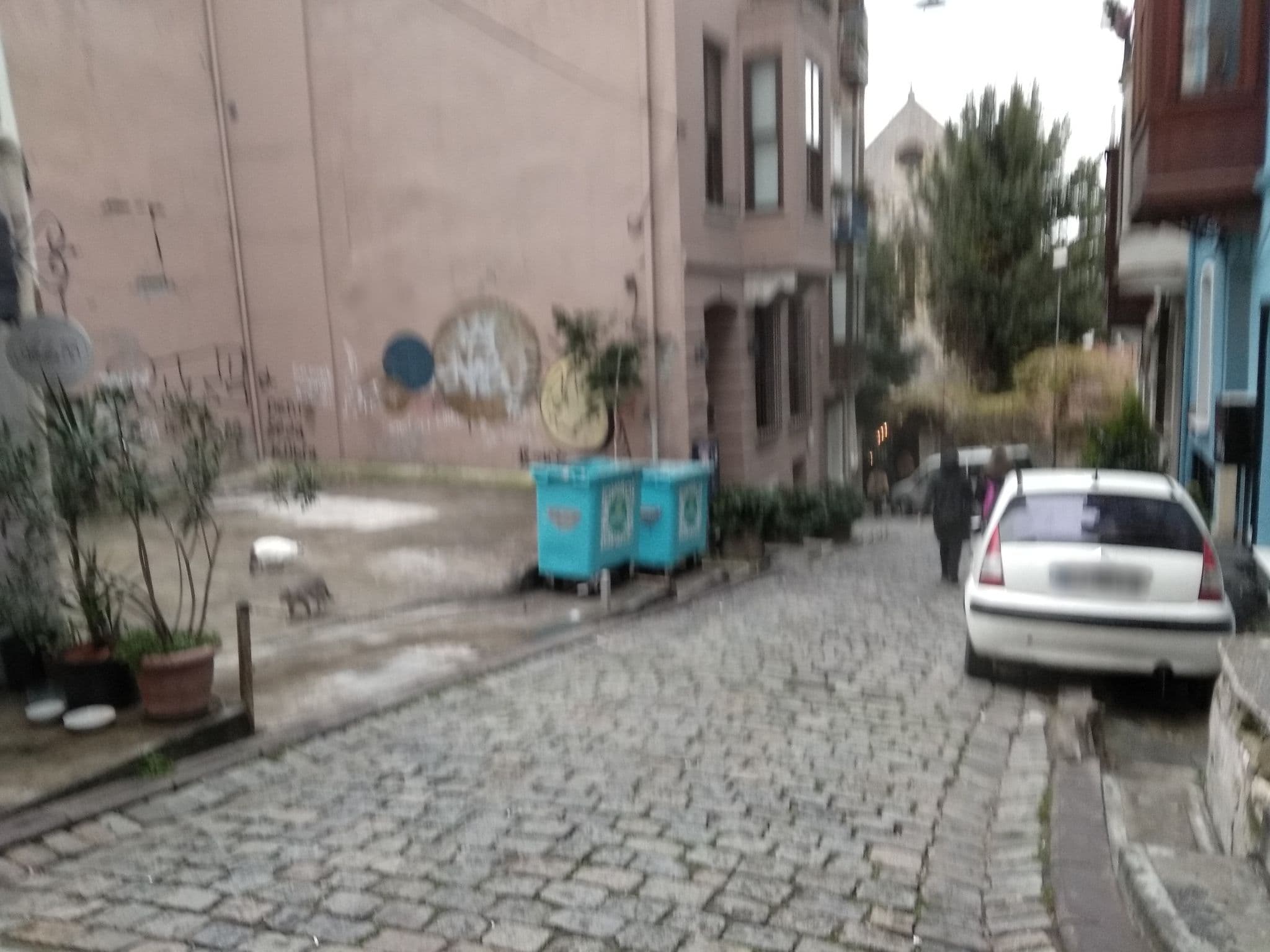 Street view near Serdar-I Ekrem 59, Eminönü — © asturksever (CC BY-SA · Mapillary)