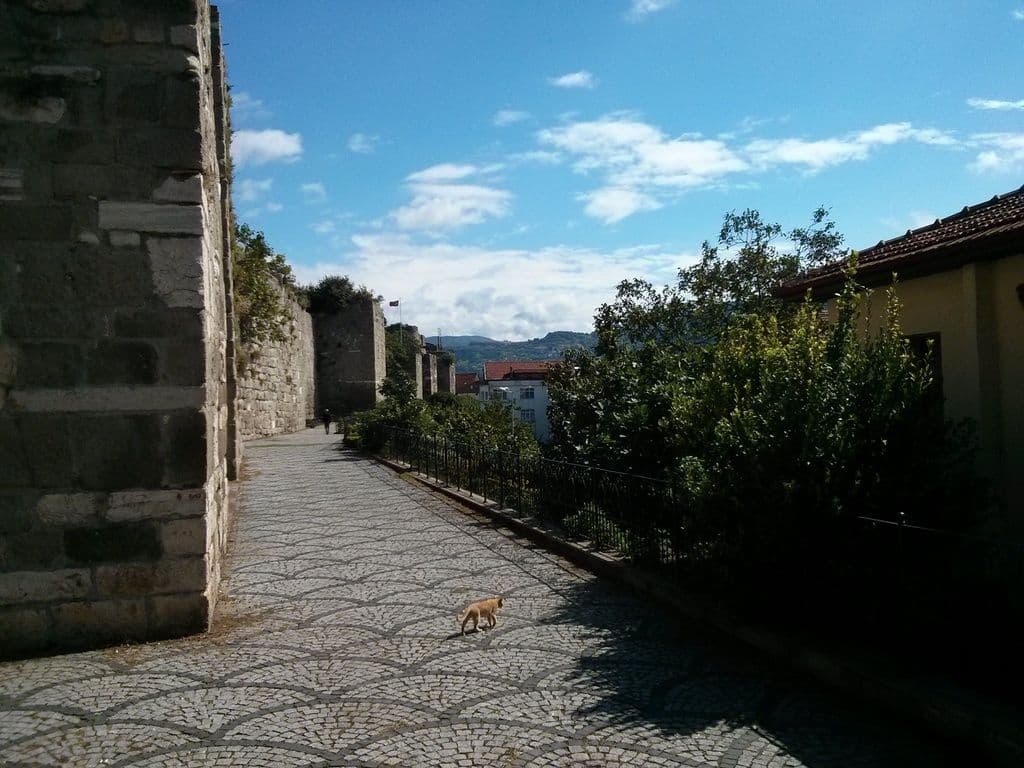 Street view near Yesil Pansiyon Cati Kati, Amasra — © janvanbekkum (CC BY-SA · Mapillary)